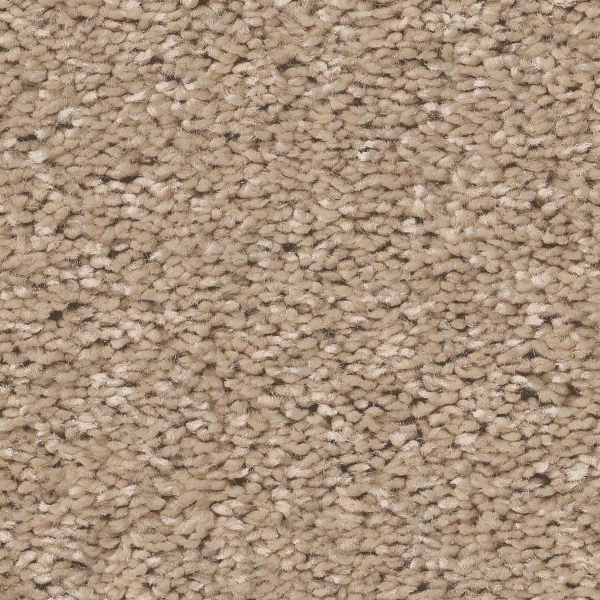 Style Selections 7L84700107 Dialed In II Tassel Brown 35-oz sq yard Polyester Textured Indoor Carpet