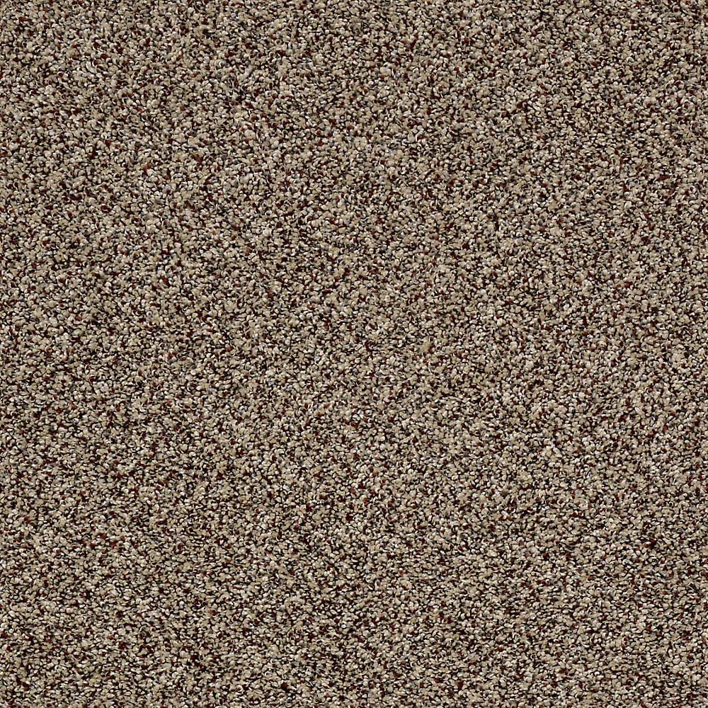 STAINMASTER S840061WORN PAT-7564 (Sample) Essentials Palacial I Worn Path Textured Carpet