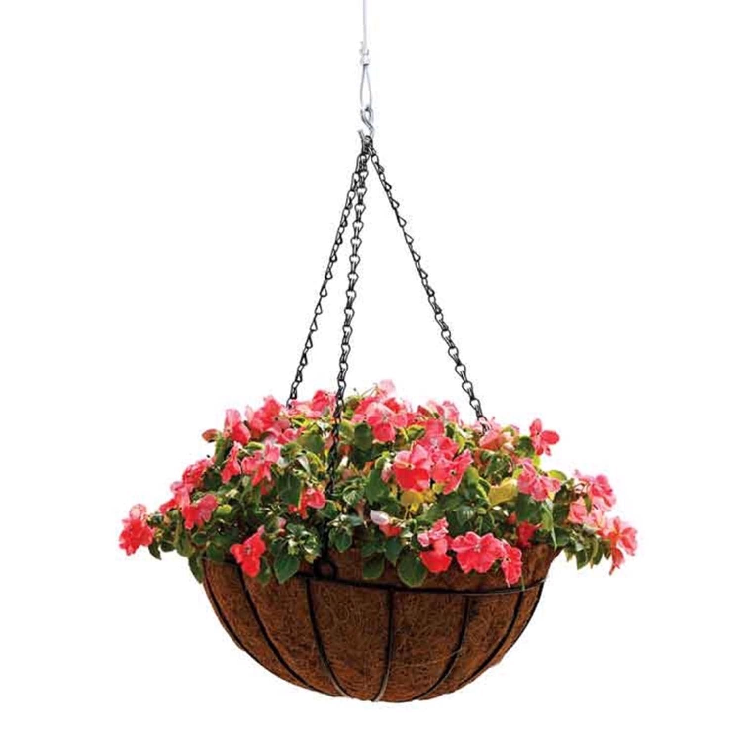 North States EJD8167173 Bird-Feeder-Accessories - View #2