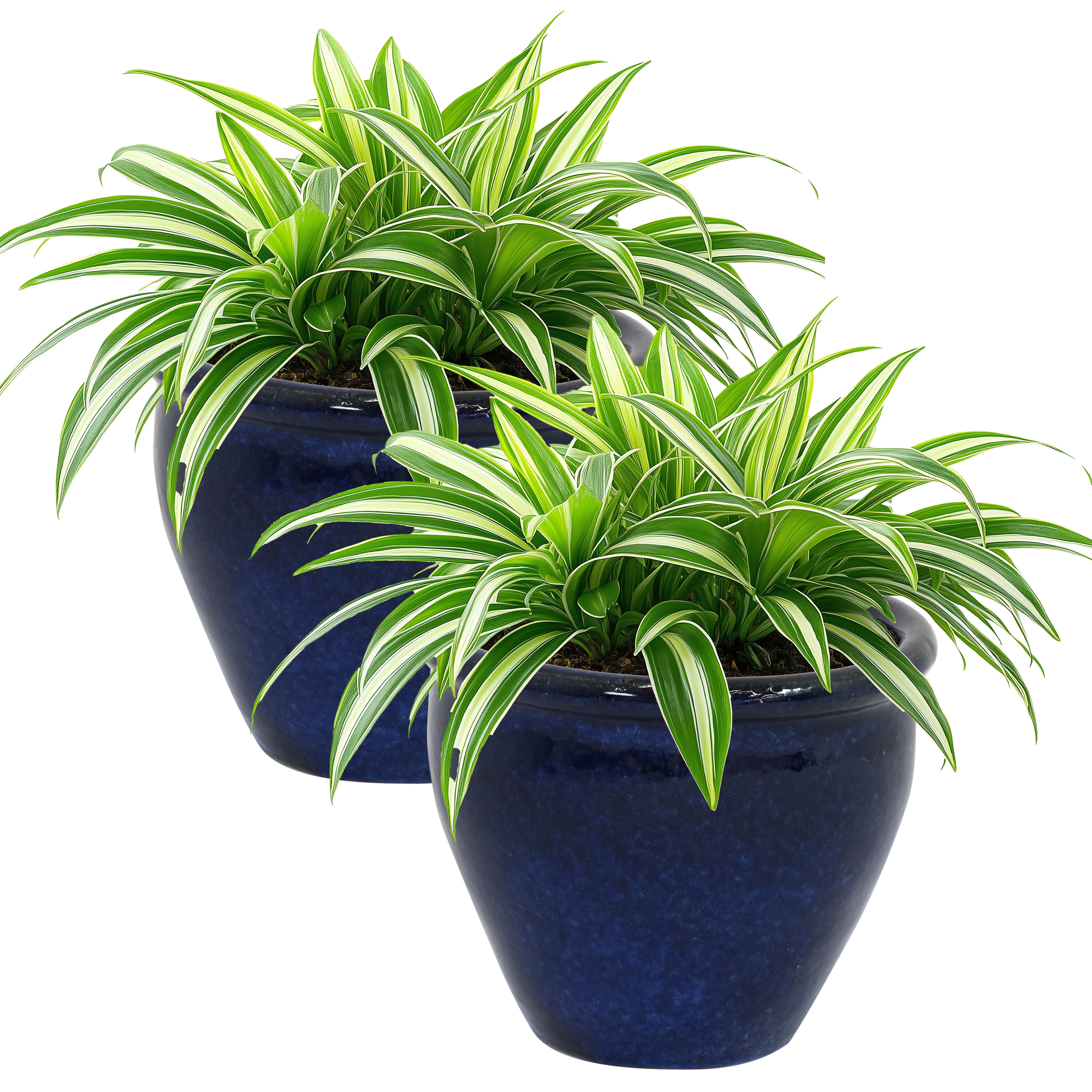 Sunnydaze Decor AP-902 Planter-Window-Box - View #11