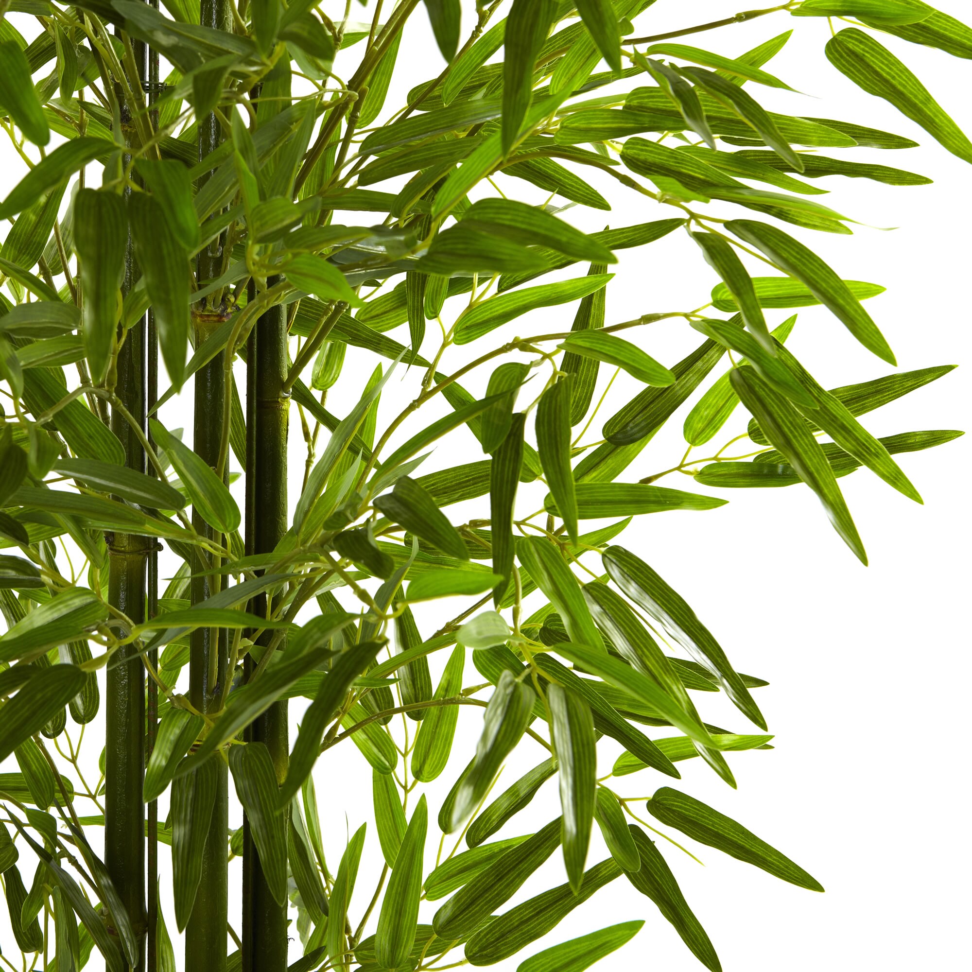 5ft Green UV Resistant Bamboo Tree in Black Plastic Pot