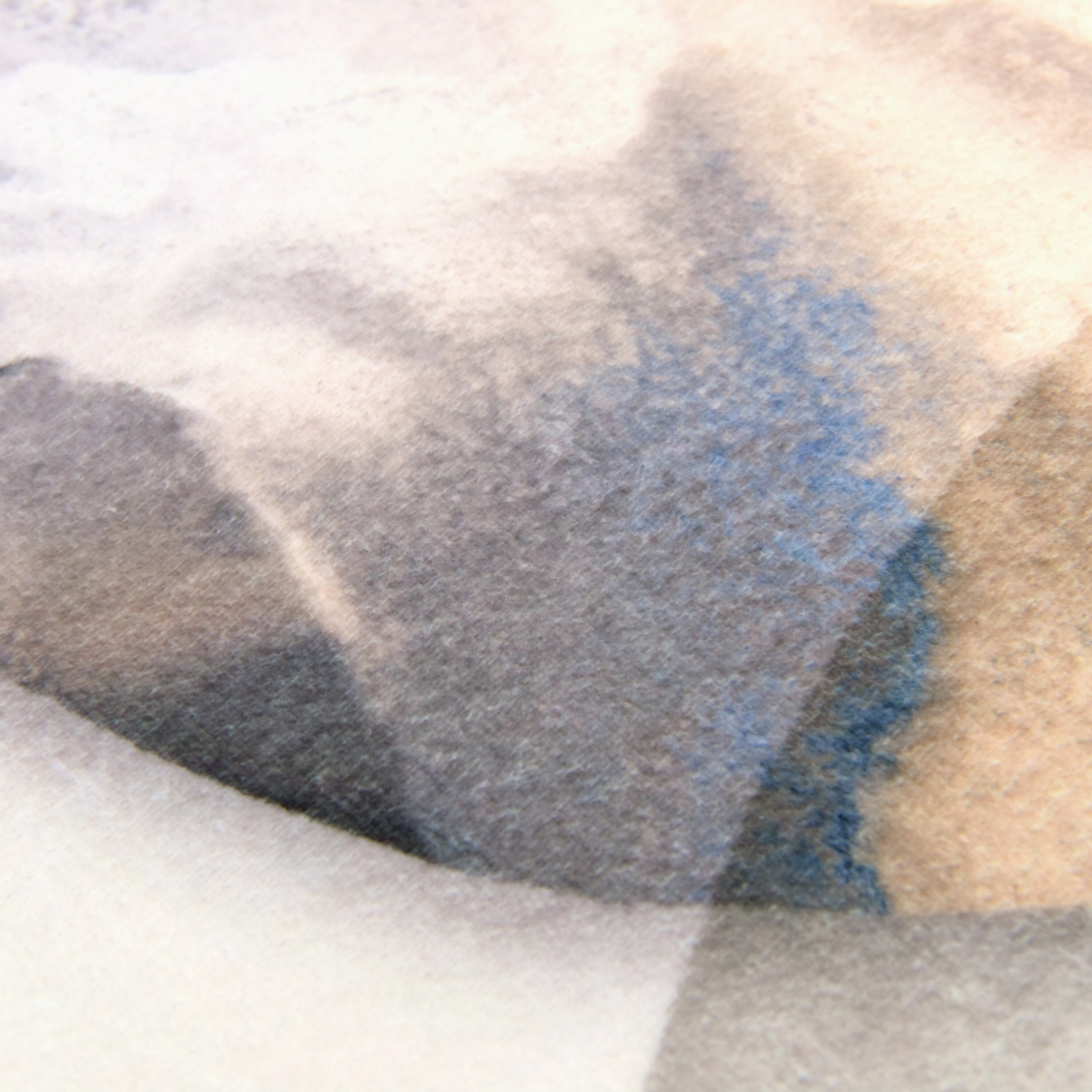 Empire Art Direct TDA-PI970-0508C2 rugs - View #3