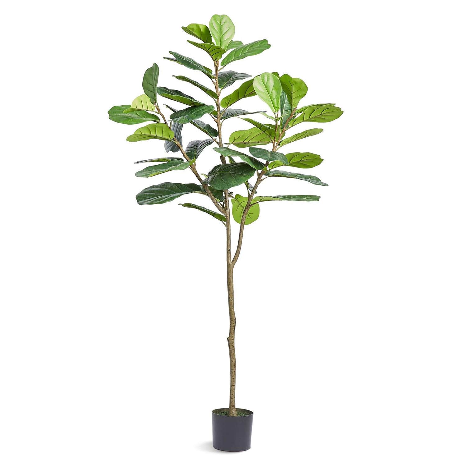 Choco Moon SSWQUS001986-LS Artificial-Plants-Trees - View #3