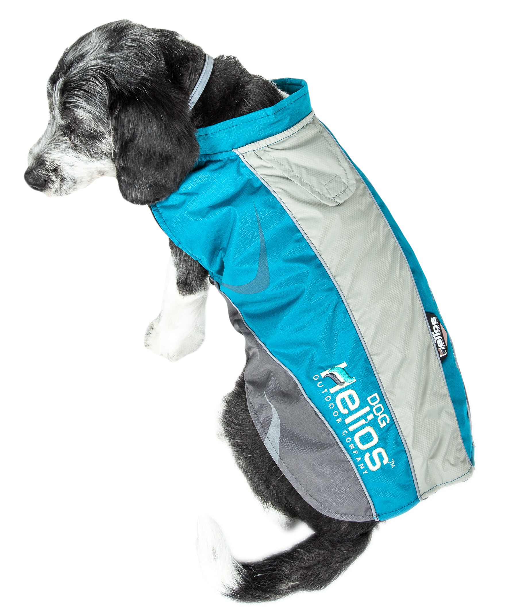 Dog Helios JKHL2BLXL Dog-Apparel - View #3