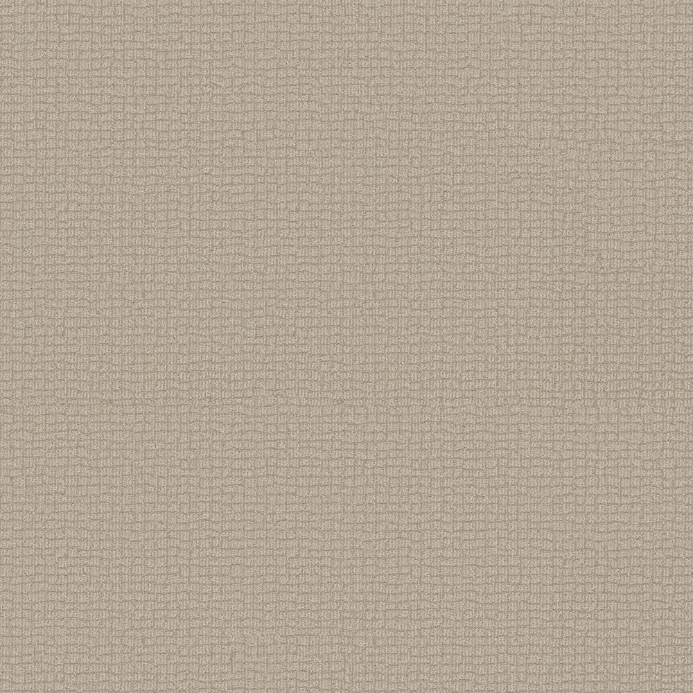 STAINMASTER PetProtect 7L94700116 with LeakDefense Feline Fantasia Warm Light Brown 34.1-oz sq yard Solution-dyed polyester Pattern Indoor Carpet