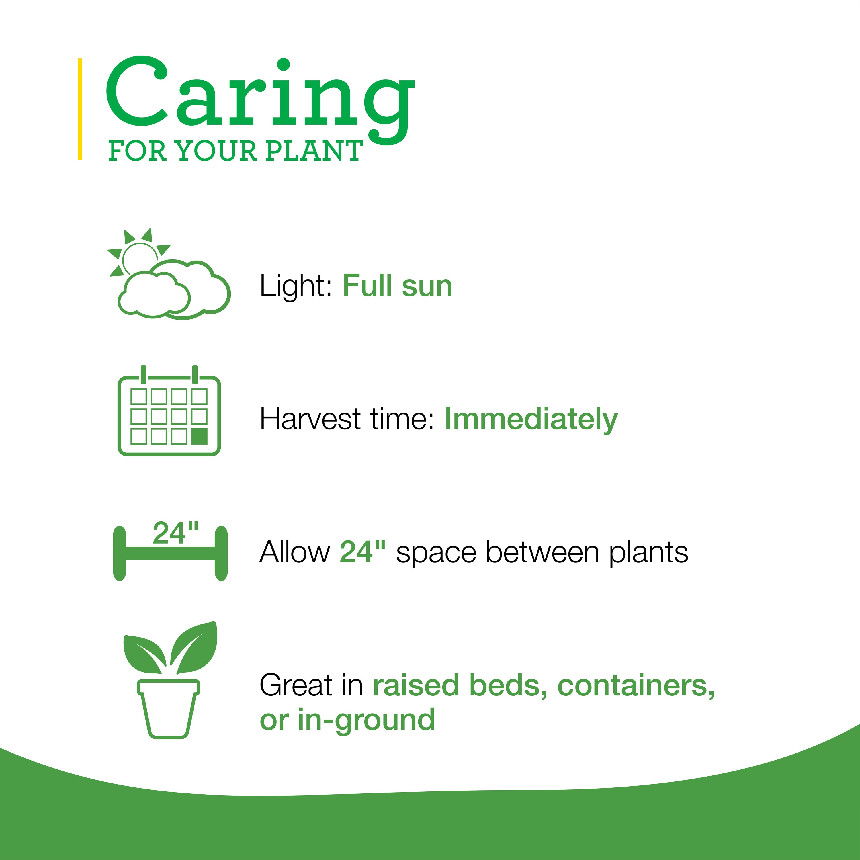 Bonnie Plants 202339 Herb-Plants - View #4