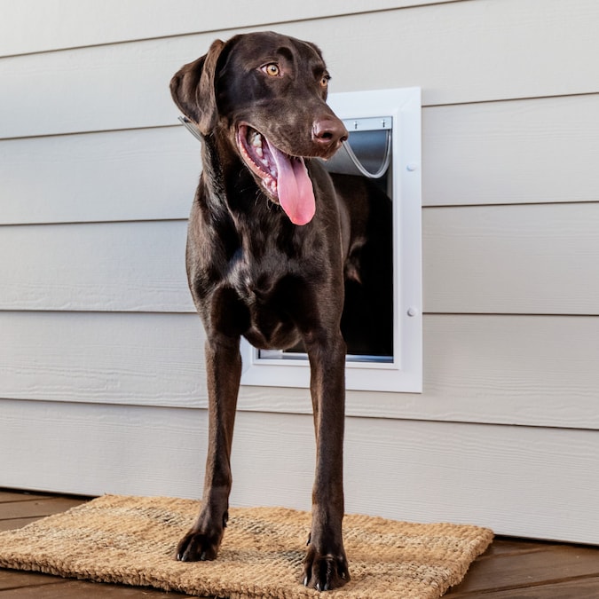 How to Install a Dog Door - This Old House