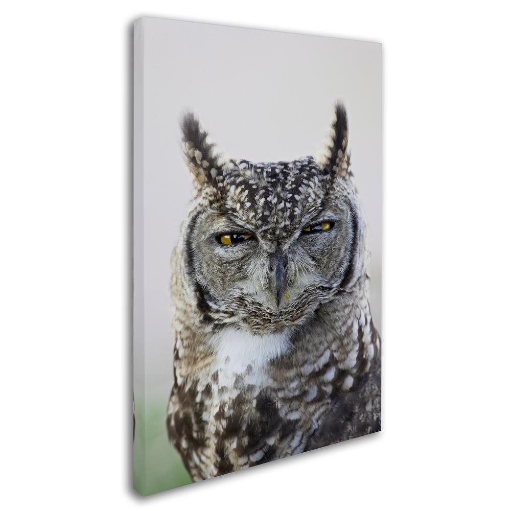 Trademark Fine Art Framed 32-in H x 22-in W Animals Print on Canvas in ...