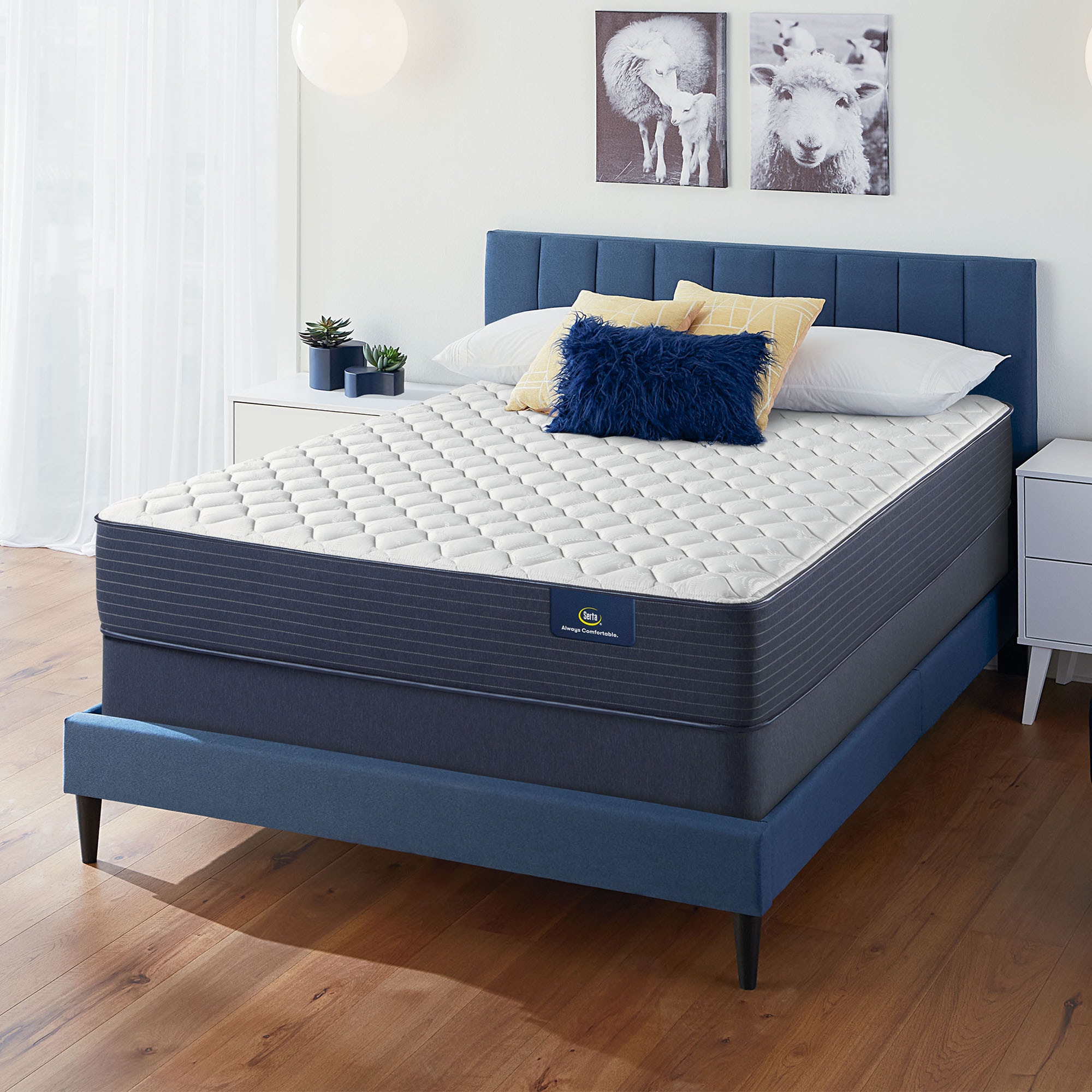 Rechtdoor Rang hoed Box Spring Included Mattresses at Lowes.com
