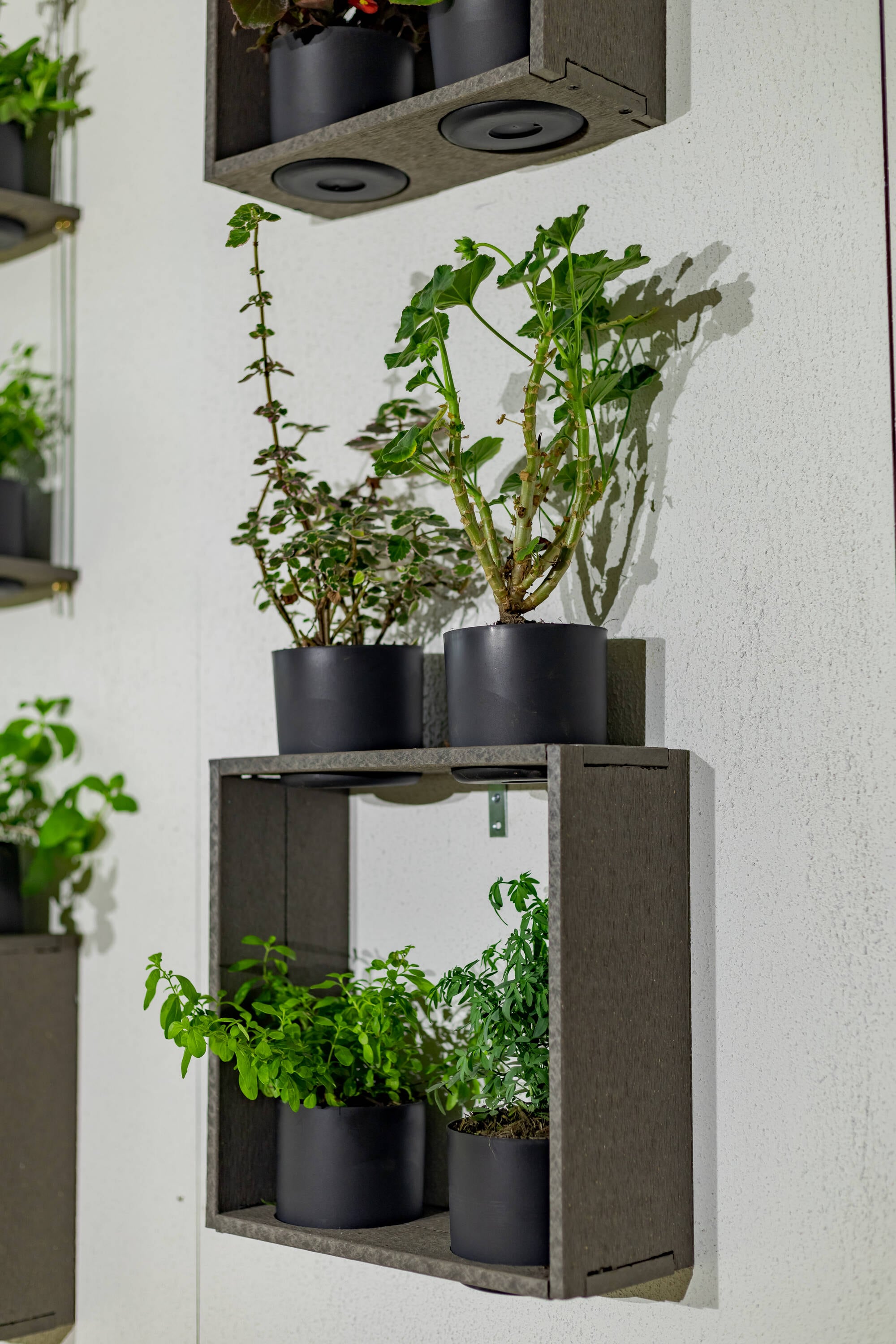 Vioscapes VCB-GC12HS2ST Planter-Window-Box - View #2