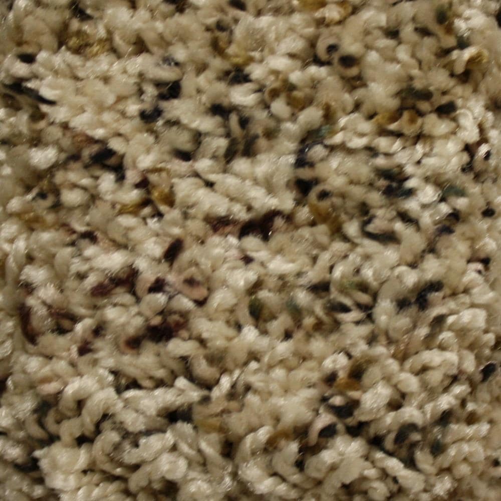 STAINMASTER S7157-710T-1200-AB (Sample) Essentials Valmeyer Western Textured Carpet