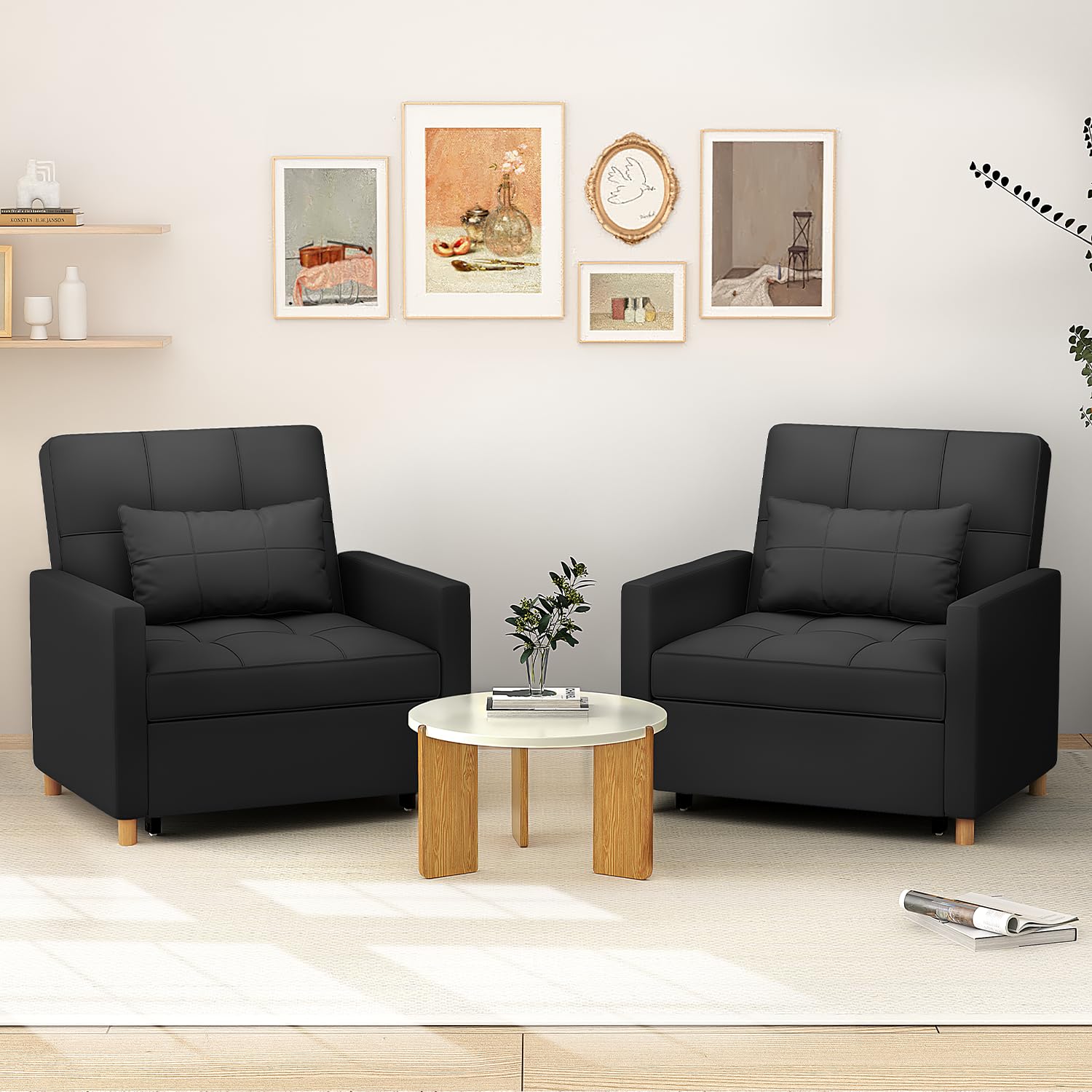 AECOJOY 13148BK-LS01 futons - View #3