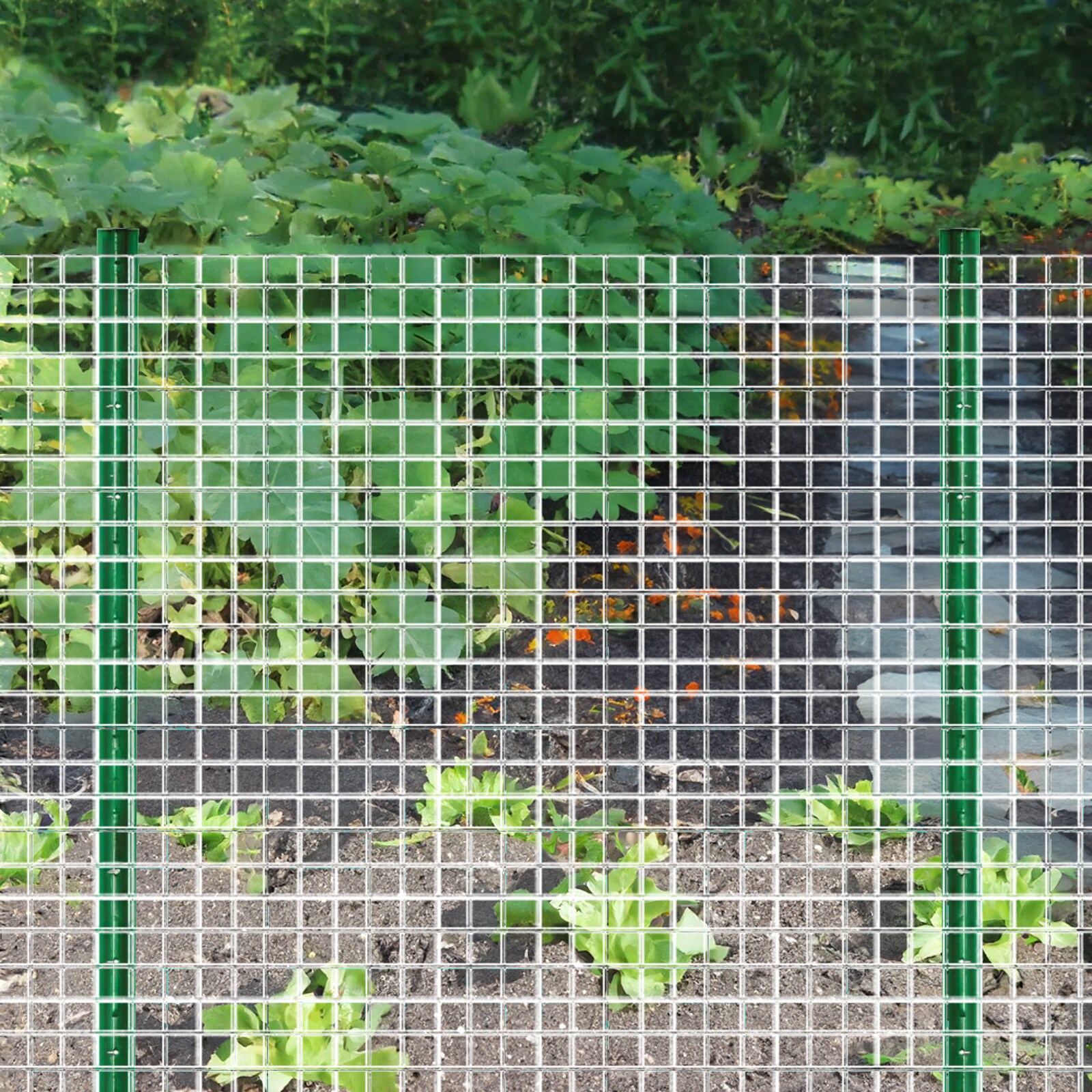 Maocao Hoom BH02636 Rolled-Fence - View #2
