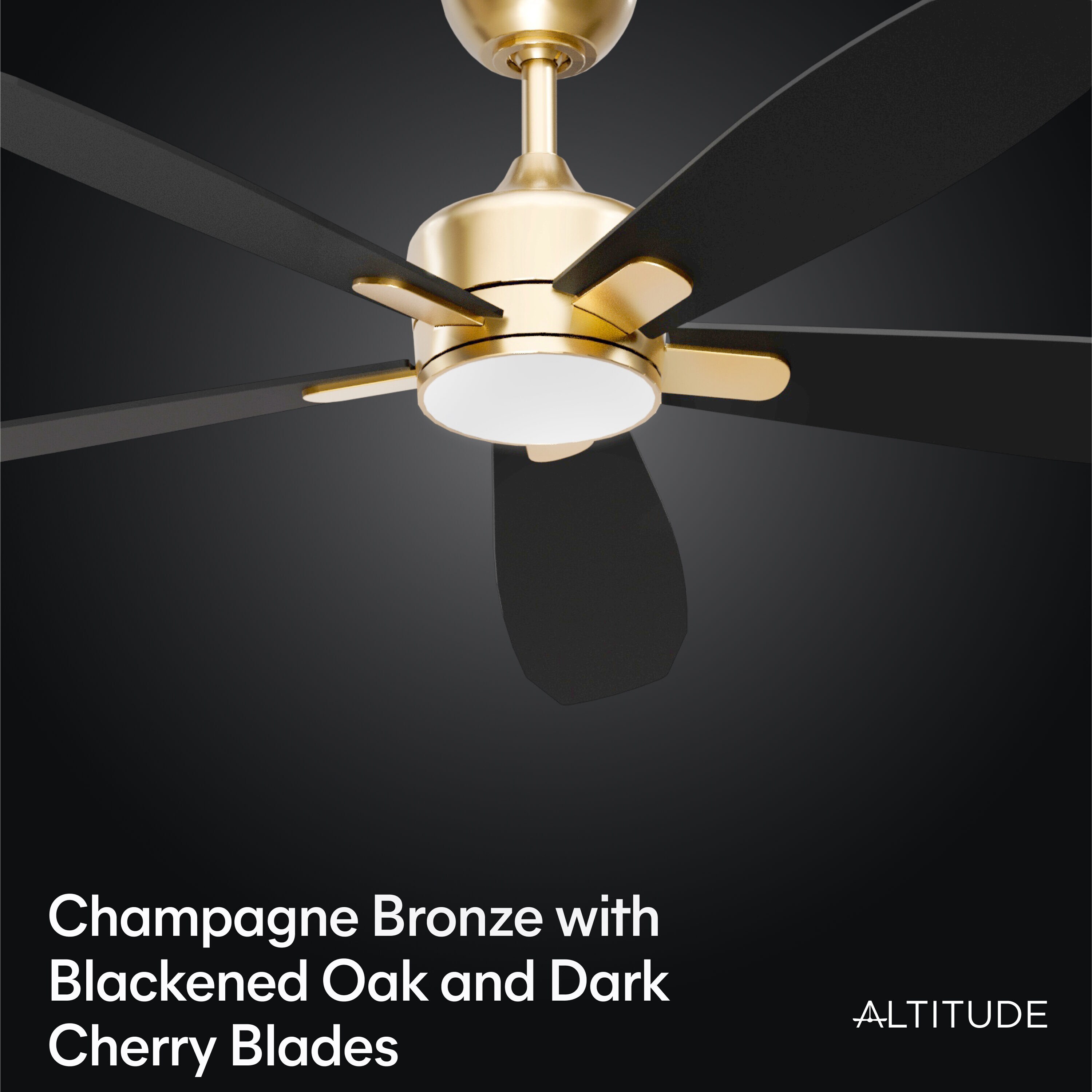 ALTITUDE DRGFY56-MCPRBODCMTR Ceiling-Fans - View #4