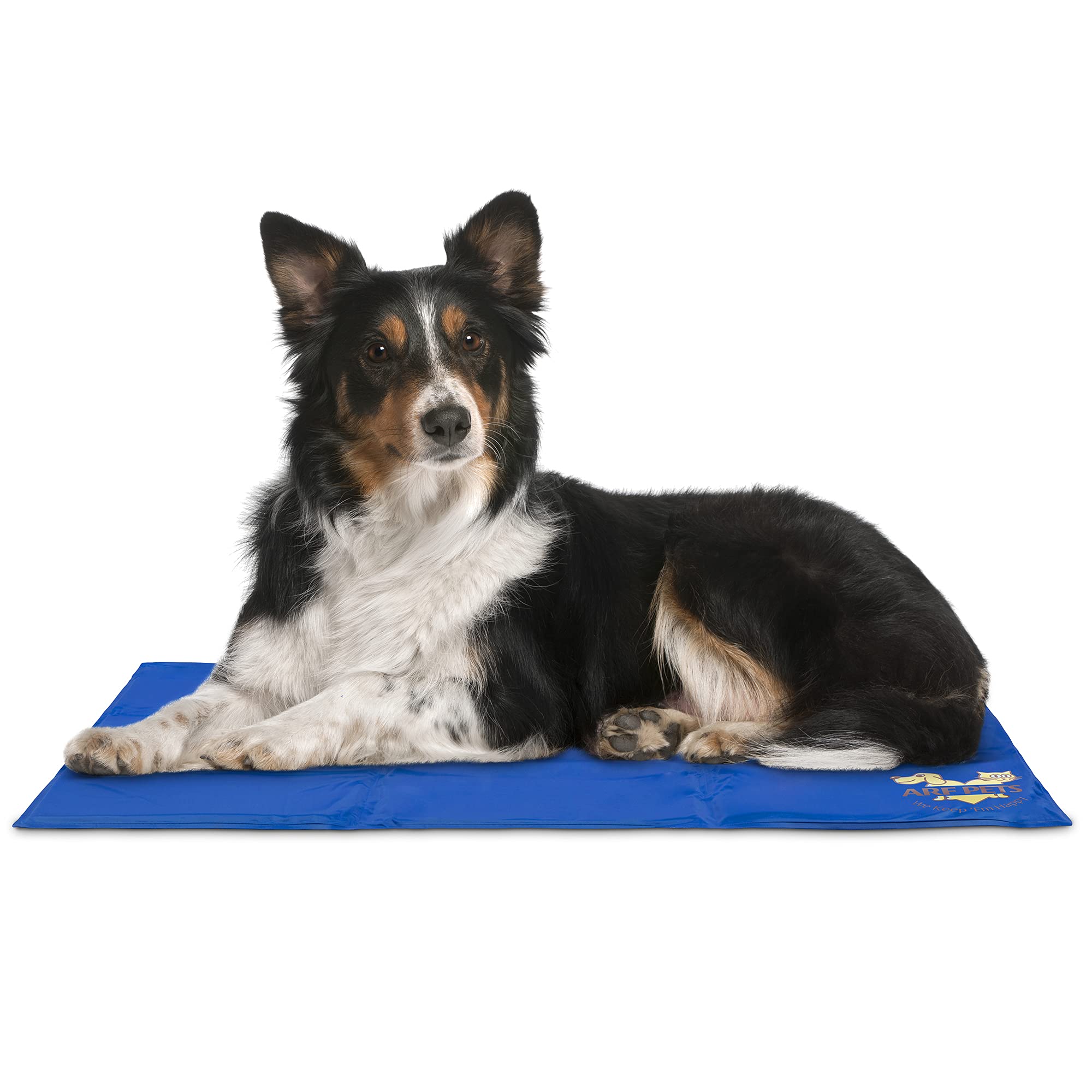 Arf Pets APCLPD0220 Rectangular Blue Nylon Pillow (Any Size)