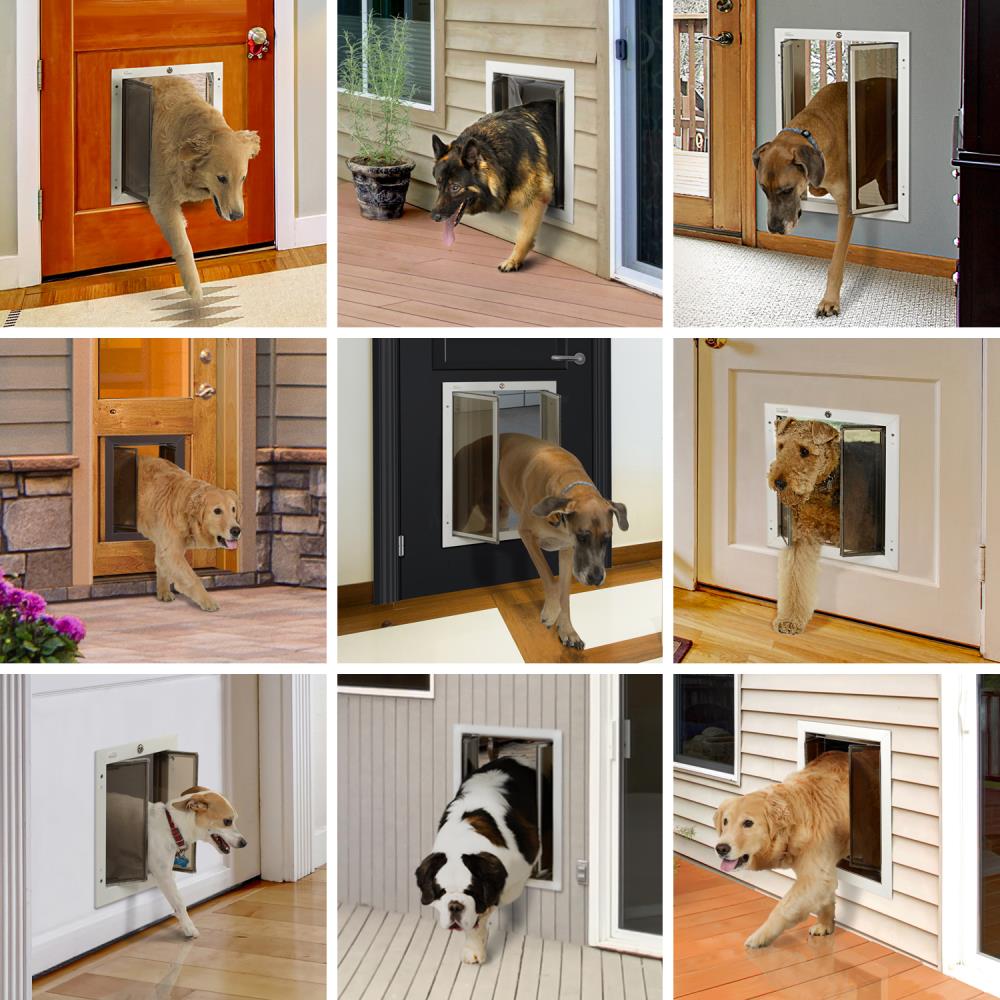 Plexidor weatherproof 2025 dog doors