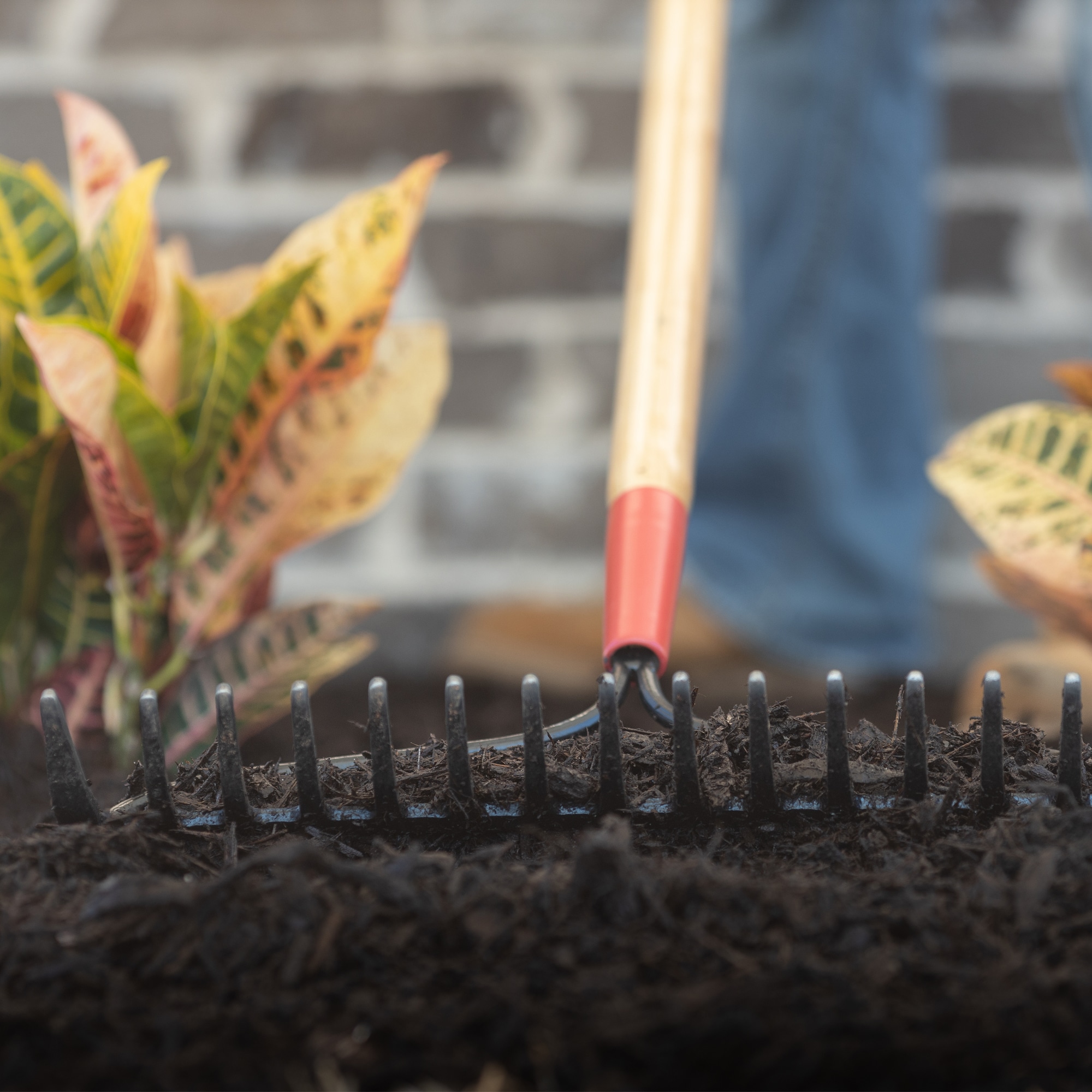 Razor-Back 63141 Garden-Rakes - View #7