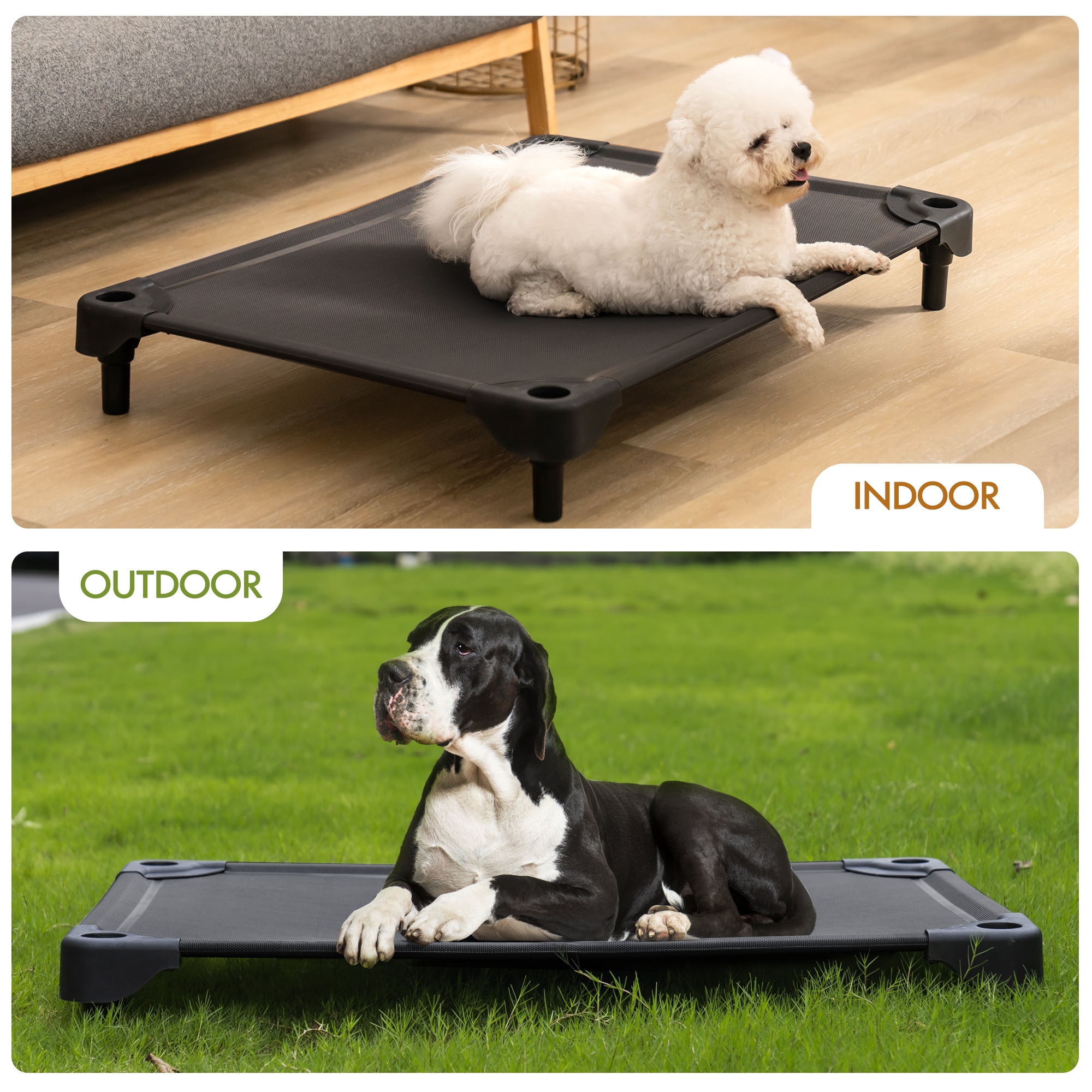 Dog bed 2025 cot type