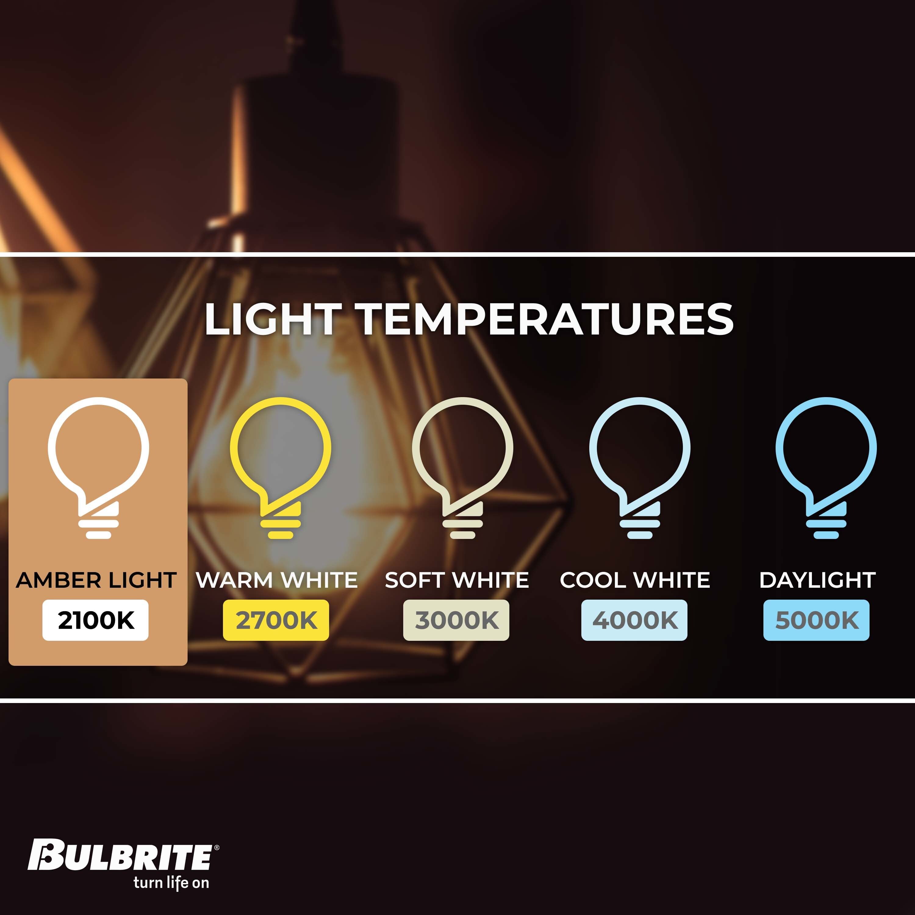 40 Watt Amber Dimmable Edison Squirrel Cage Light Bulb