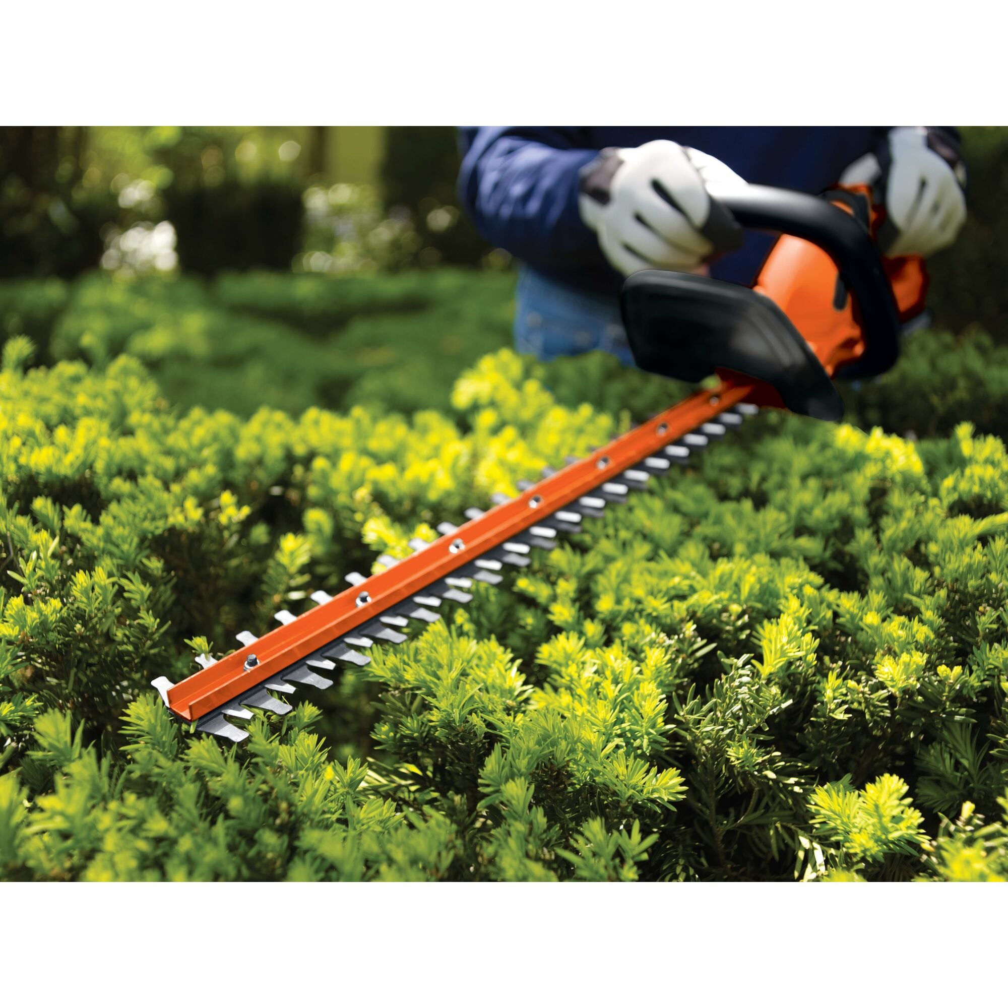 BLACK+DECKER LHT2220B Cordless-Hedge-Trimmers - View #10