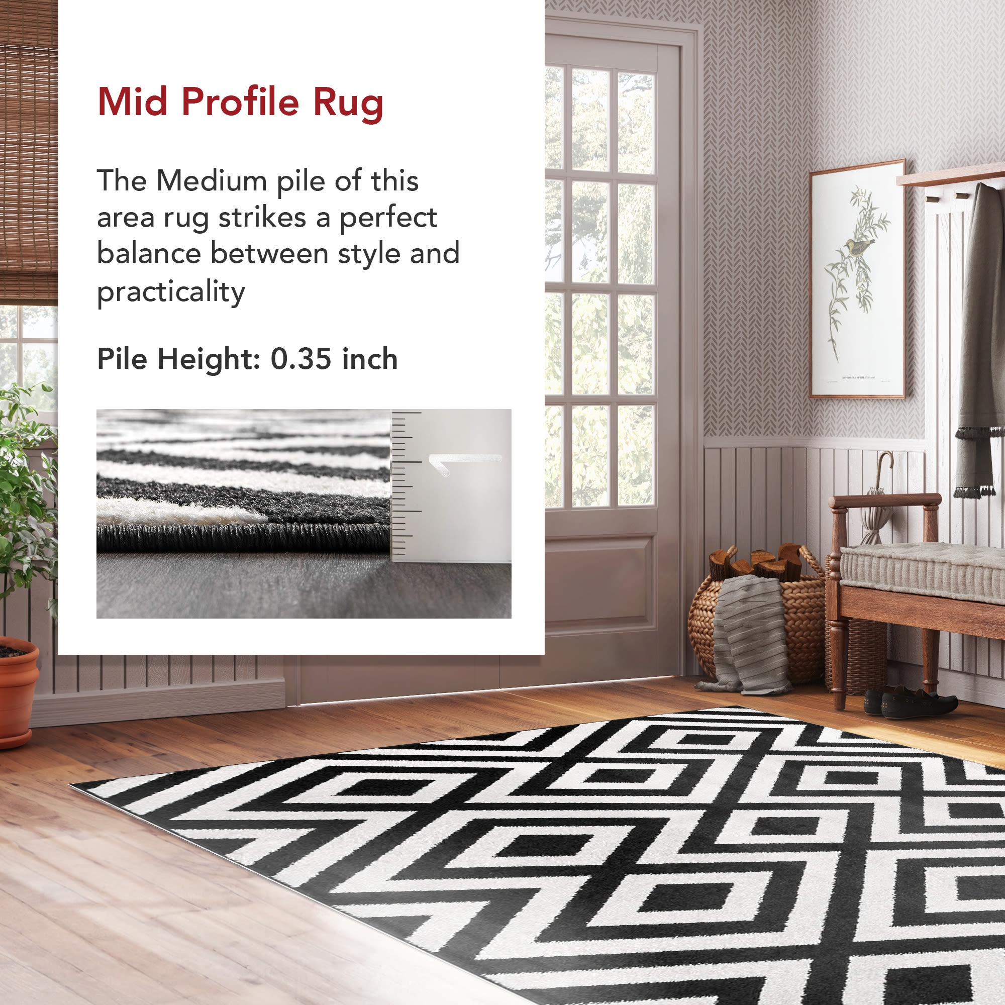 nuLOOM RZEL01C-305 rugs - View #3