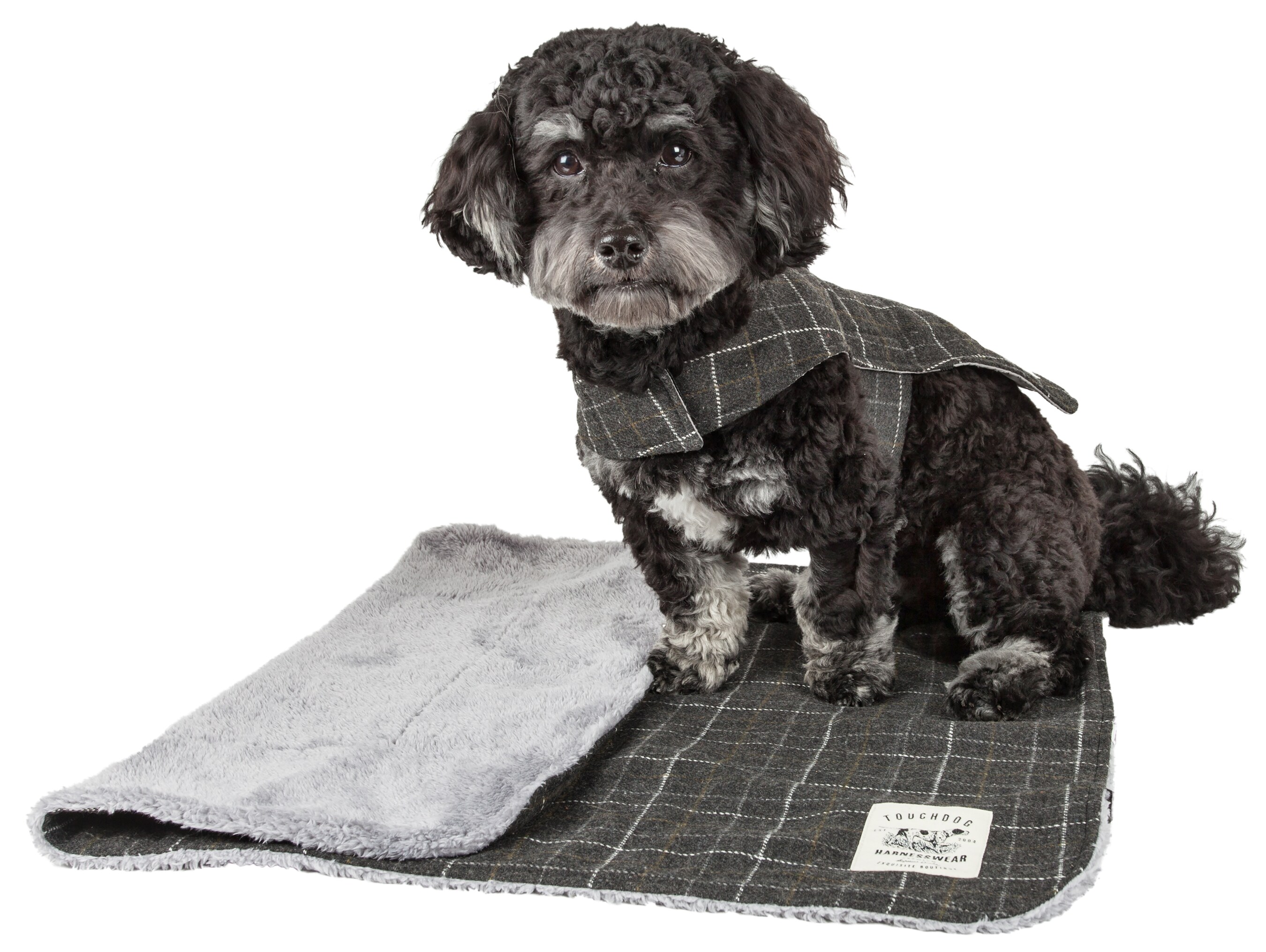 Touchdog JB4DGXS Dog-Apparel - View #2
