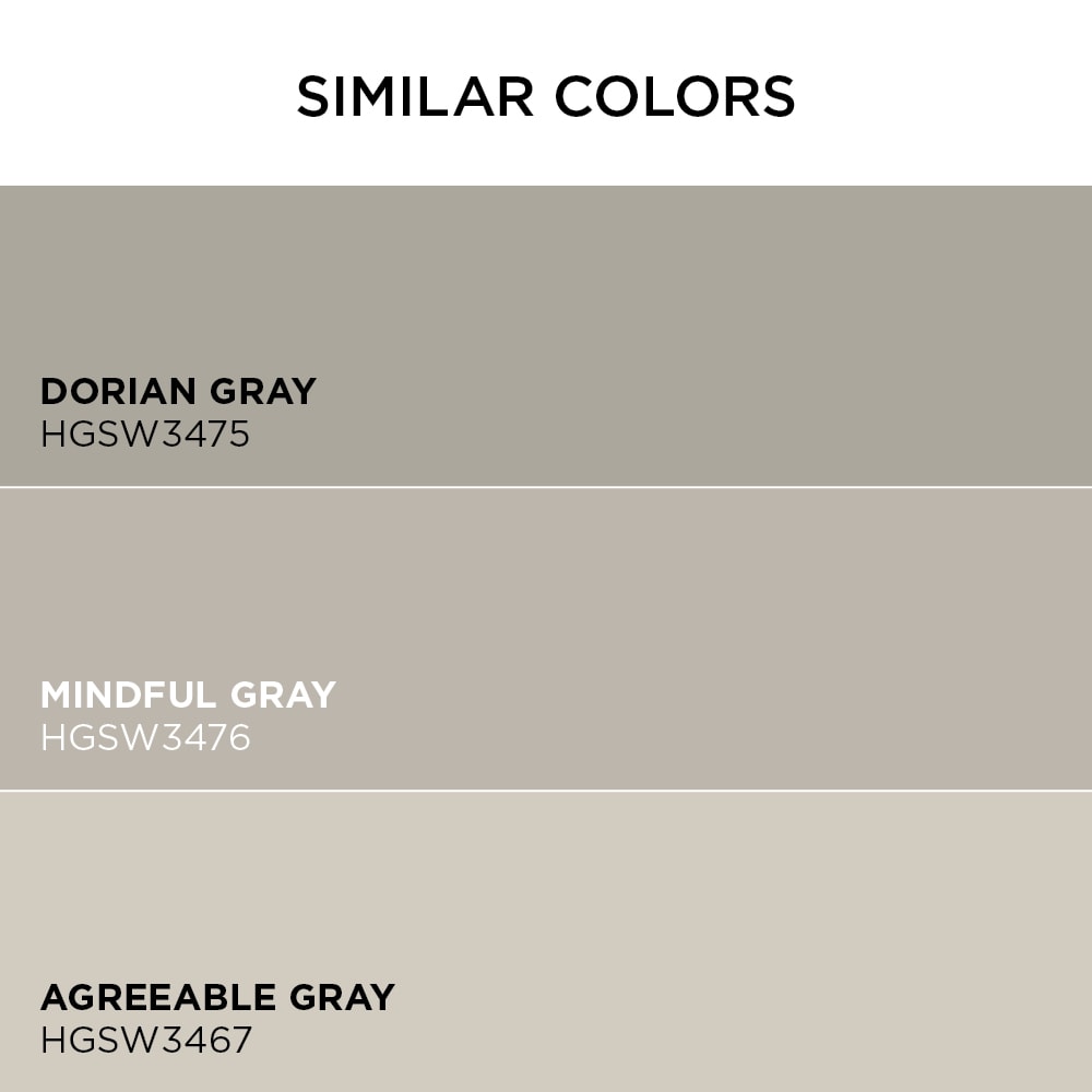 Valspar Signature Satin Soulful Grey 6004-1b Latex Interior Paint ...