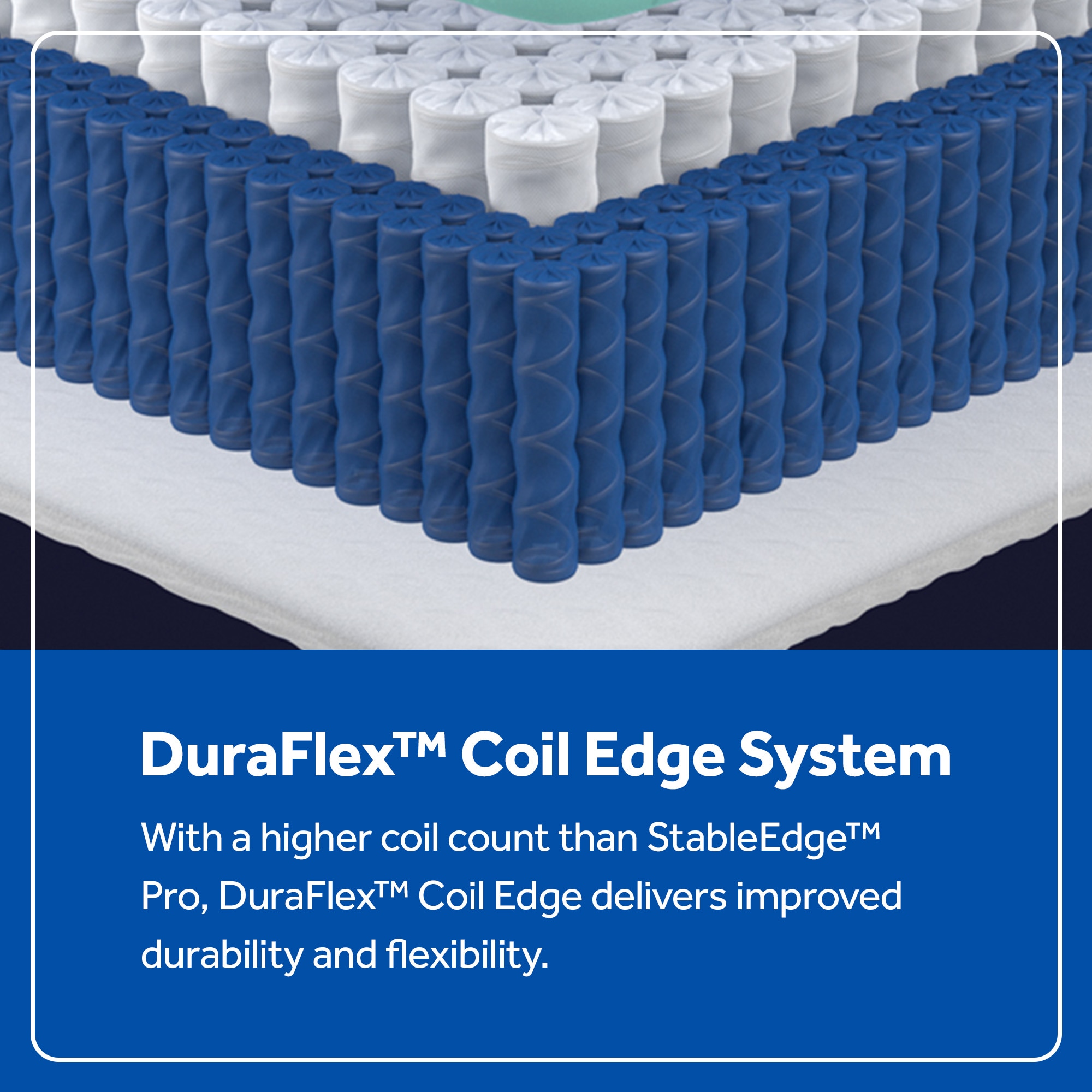 Sealy 53307151 Mattresses-Boxsprings - View #6