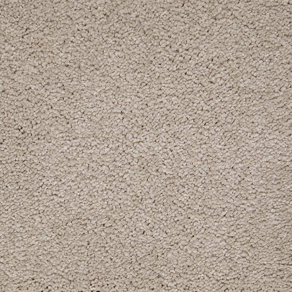 STAINMASTER PetProtect STP56-L004-0808 (Sample) Pawfection Shell Tint Brown 70-oz sq yard Triexta Textured Indoor Carpet