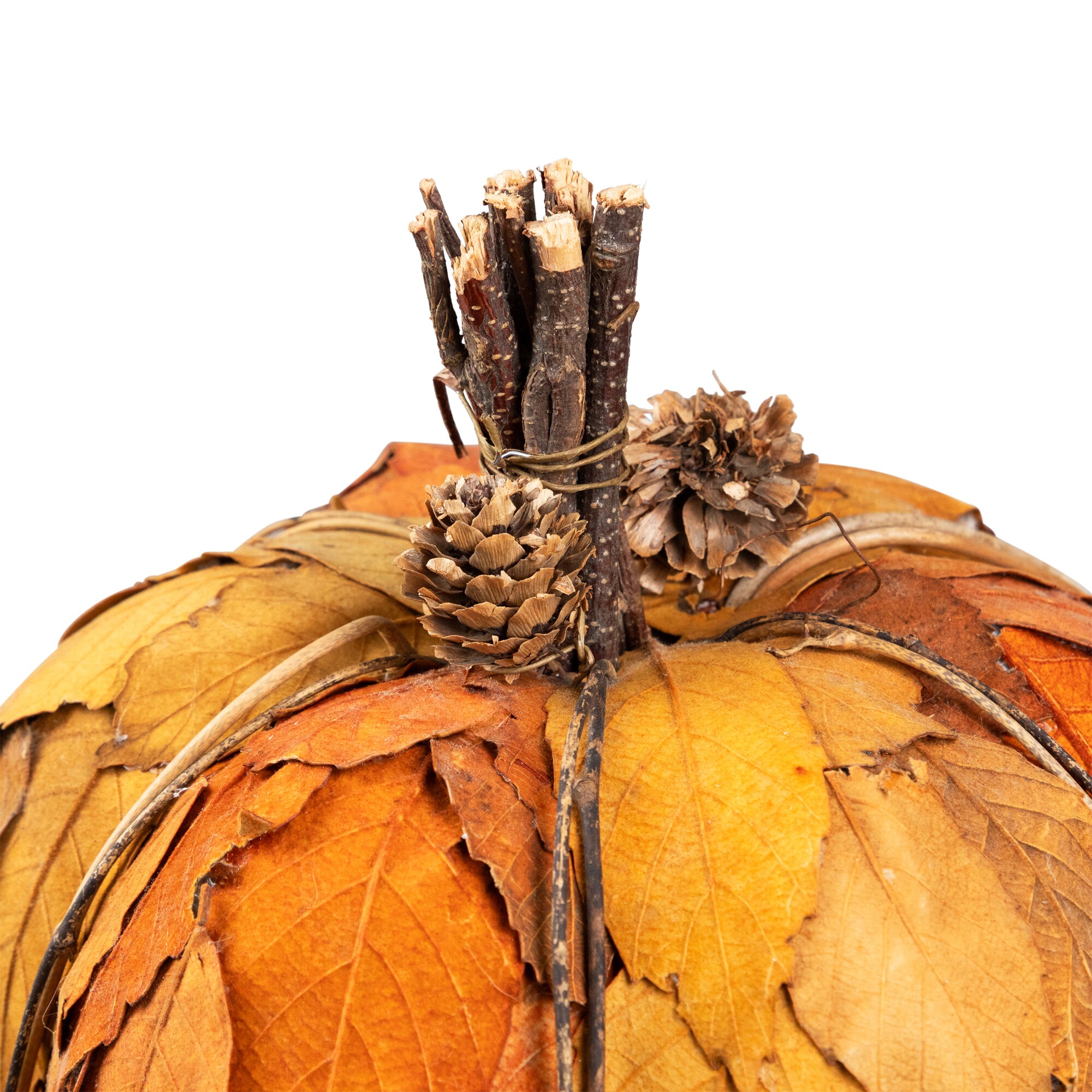 Northlight 34314372 Indoor-Thanksgiving-Decor - View #7