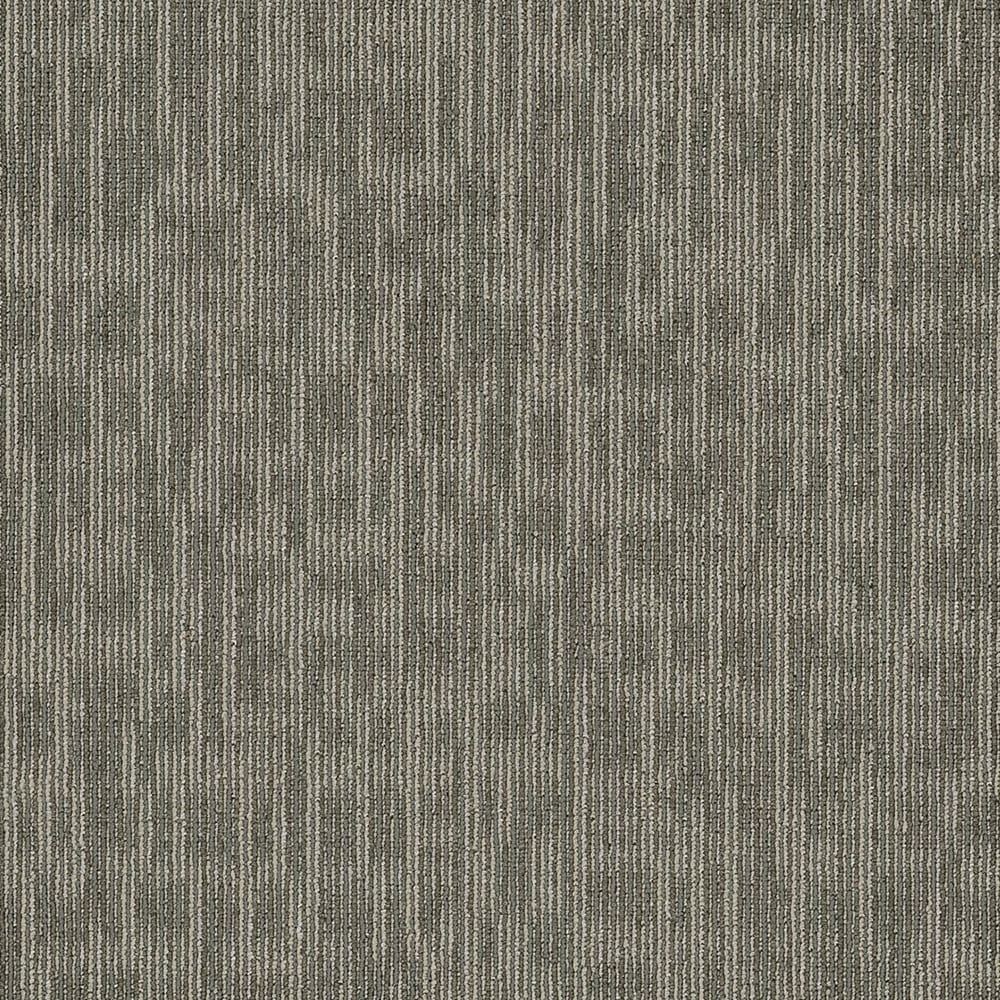 Shaw 7L80944505 Whiz Kid 24-in x 24-in Masterful Gray Commercial Adhesive Indoor Carpet Tile ( 80-sq ft )