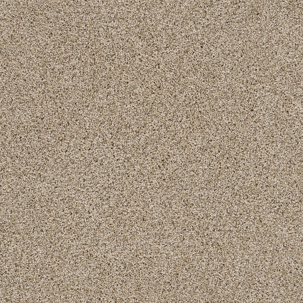 STAINMASTER L3017-720-1200-AB Soft Shadows II Almond Tan 55-oz sq yard Solution-dyed polyester Textured Indoor Carpet