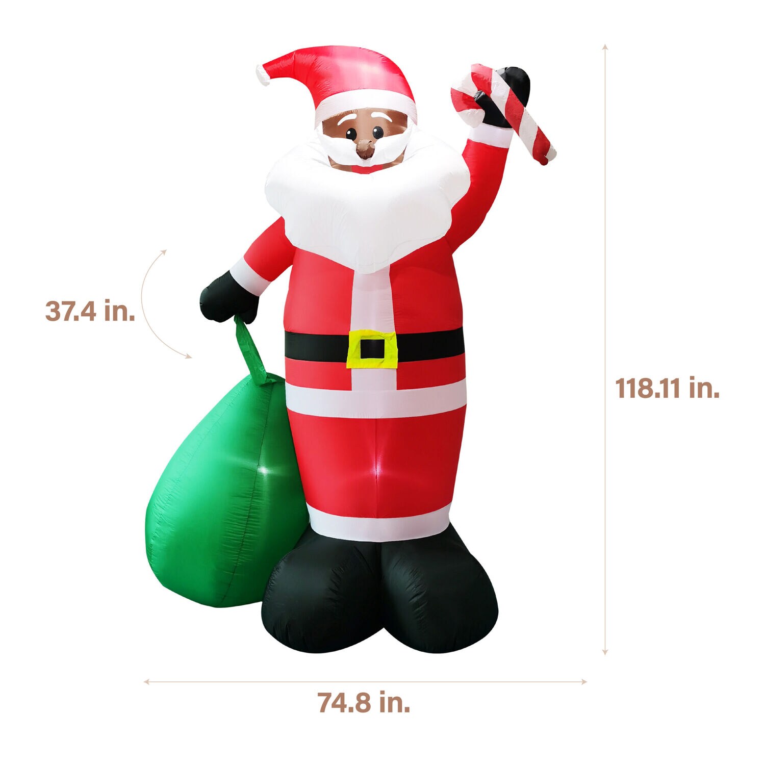 Fraser Hill Farm FHFAASANTA101-L Christmas-Inflatables - View #7