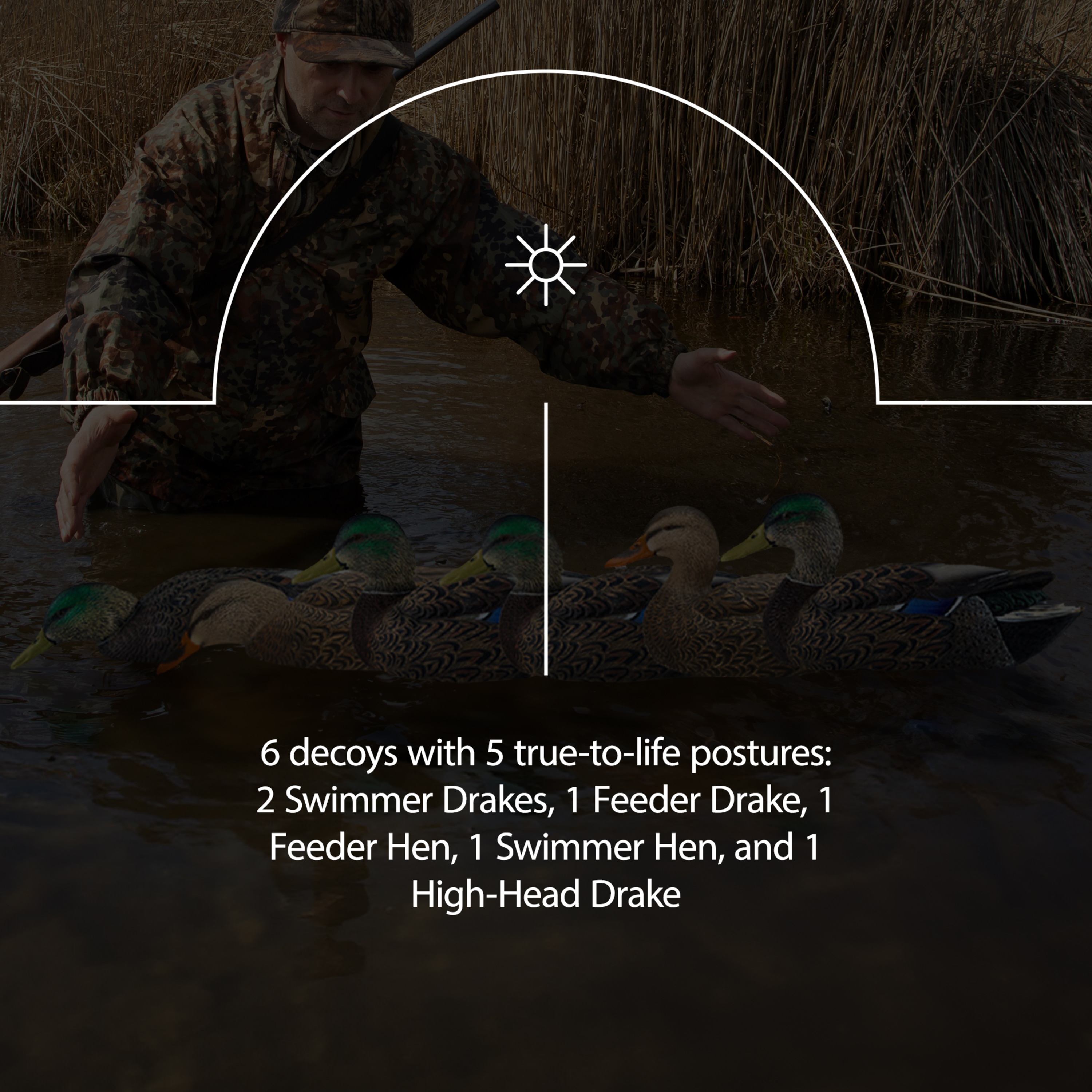  Avian X 399261 Hunting-Equipment - View #4