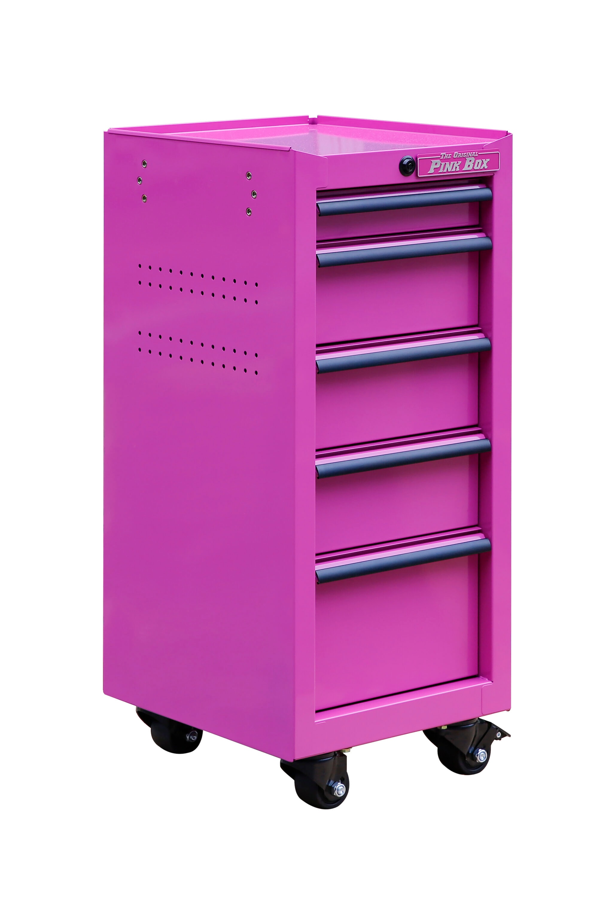 Viper Tool Storage 16-in 5-Drawer Rolling Tool / Salon Cart, Purple in the  Bottom Tool Cabinets department at