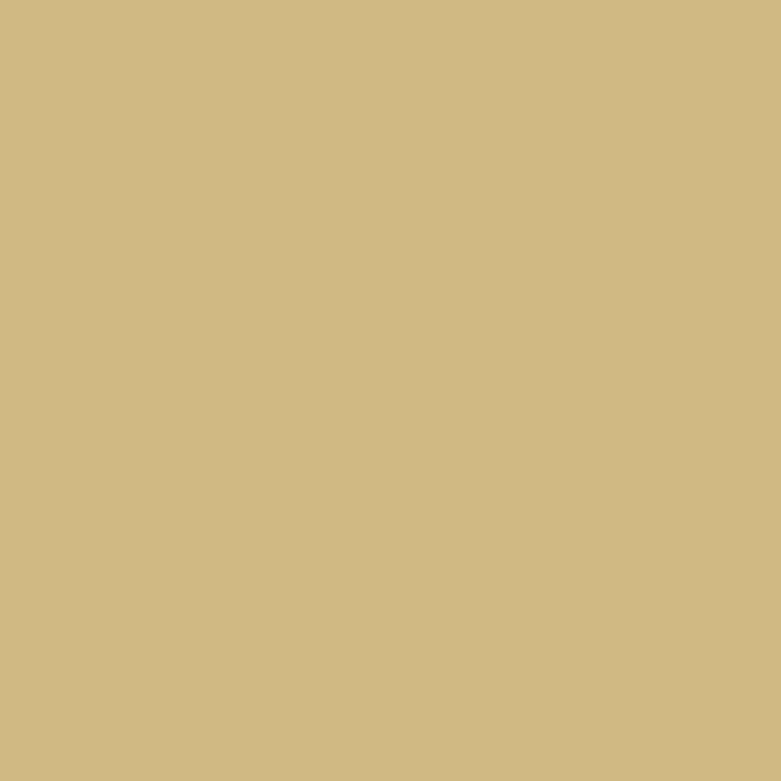 Montana Gold Spray Paint Sahara Beige