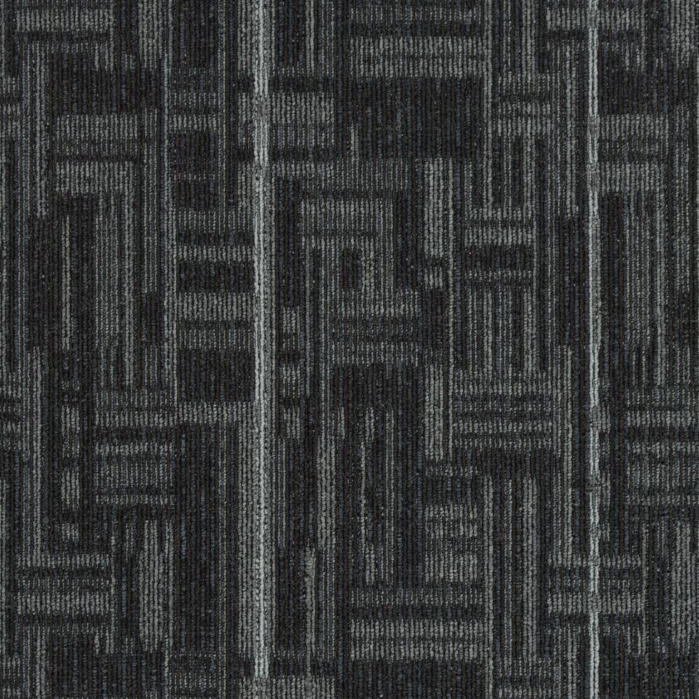 STAINMASTER (Sample) Home & Office City Limits Front Page Pattern Indoor  Carpet in the Carpet Samples department at 