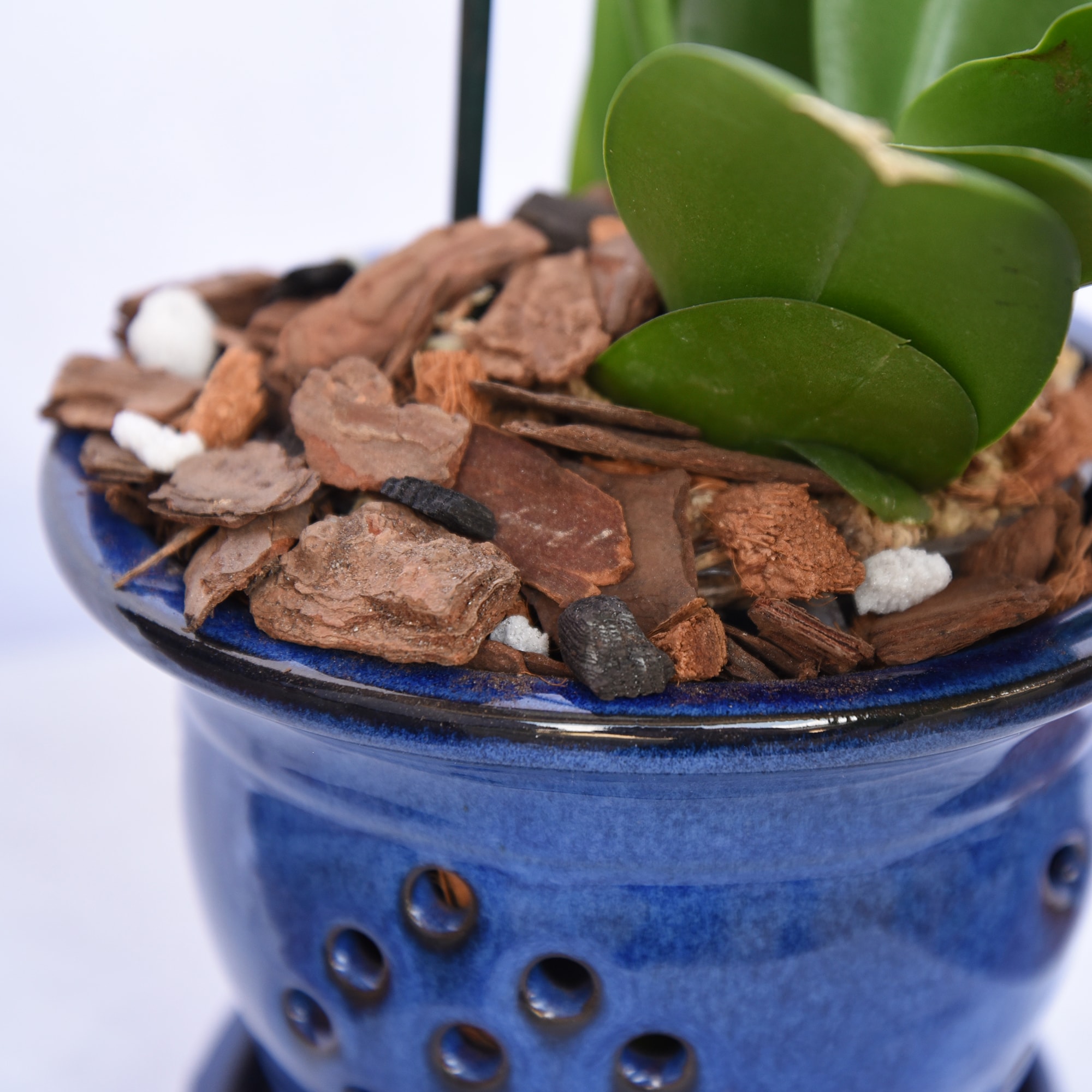 Perfect Plants LOORCHIDMIX8QT Garden-Soil-Soil-Amendments - View #2