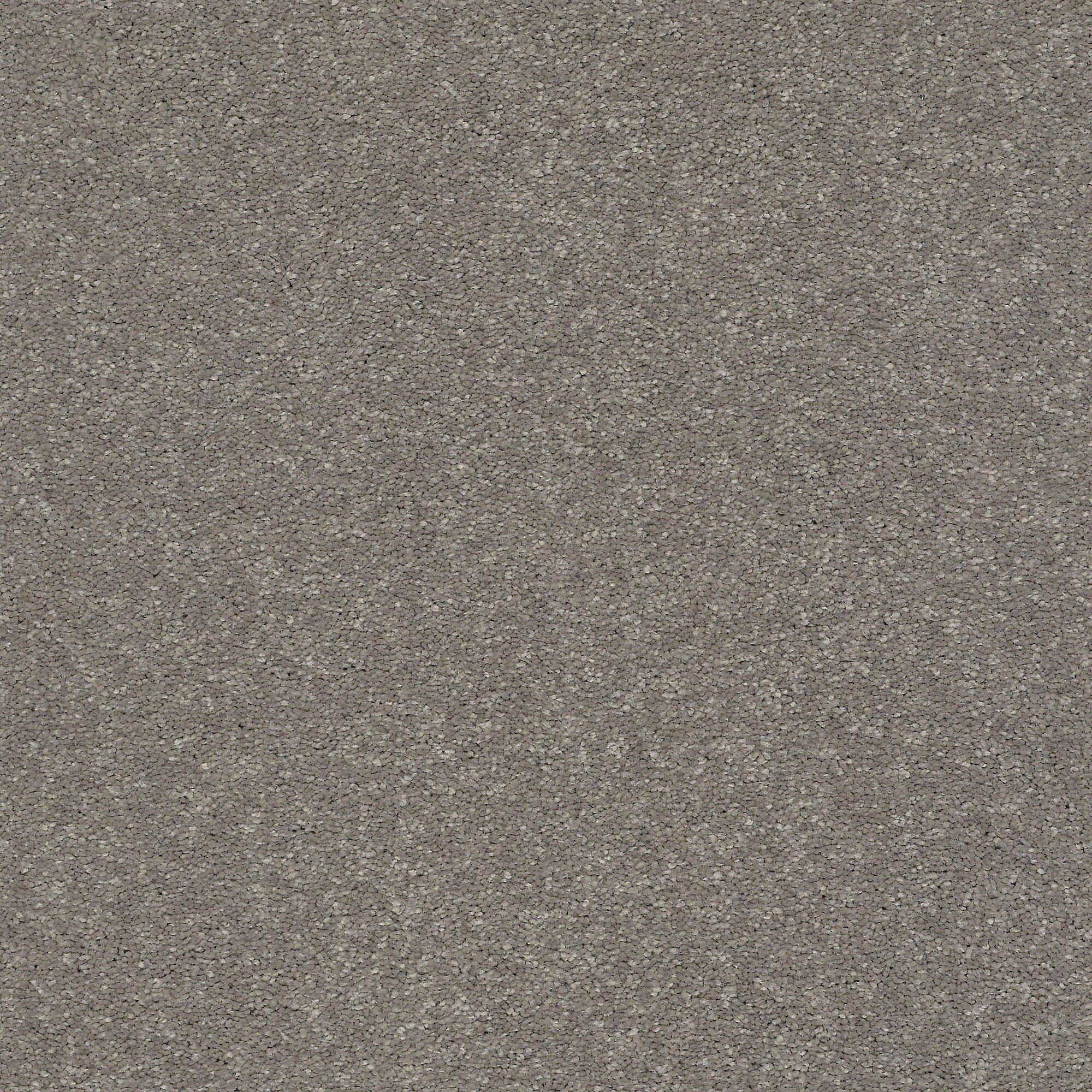 STAINMASTER Blue Diamonds I 15 Ft Tree Bark Brown 48.8oz sq yard