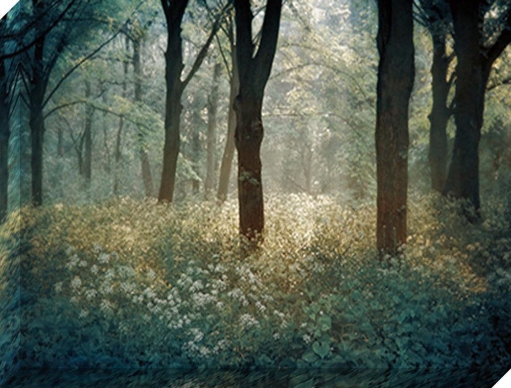  1607-8211LOW 30-in H x 40-in W Landscape Print on Canvas
