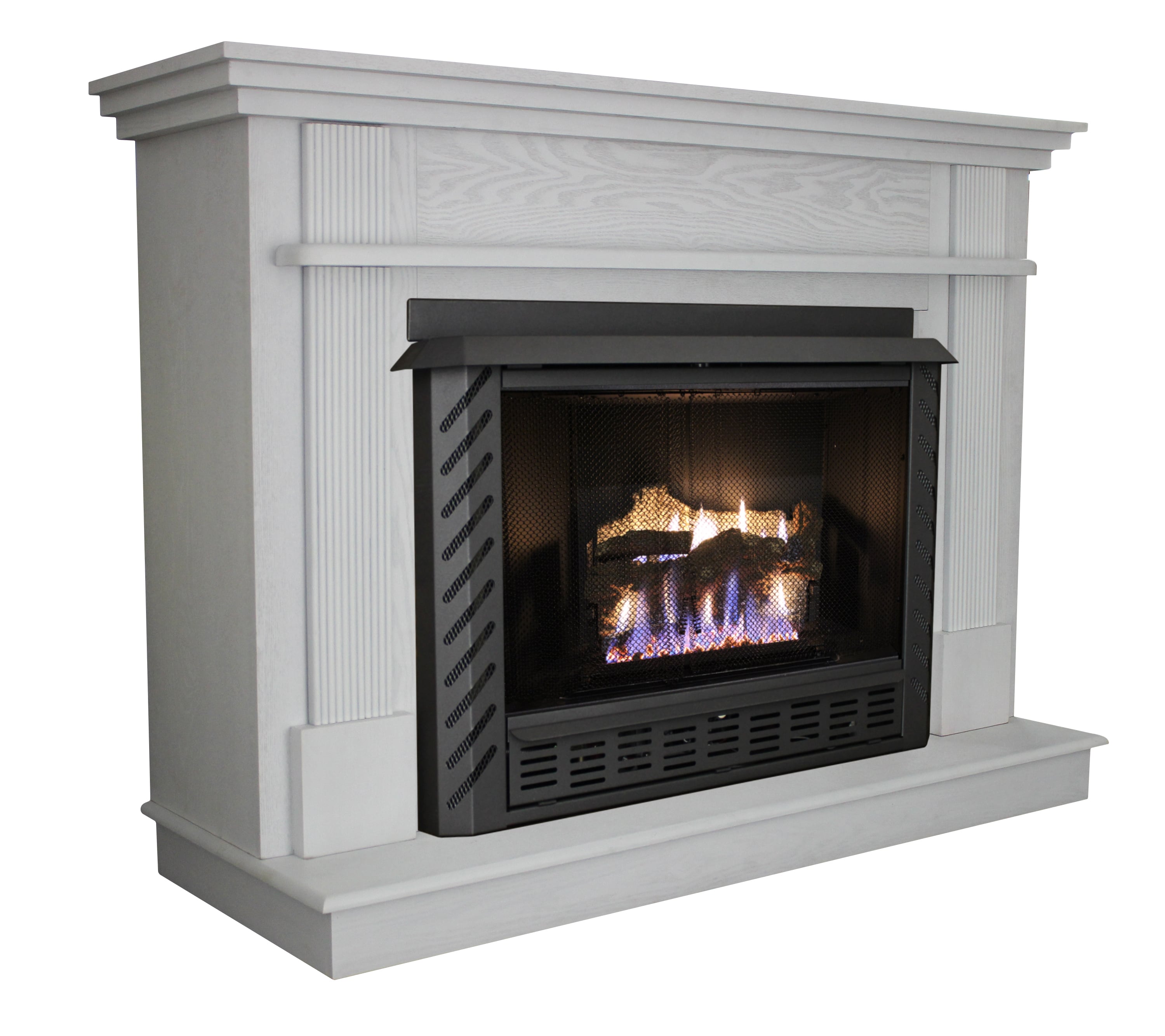 Ashley Hearth Products 1000-sq ft-Burner Direct Vent Freestanding