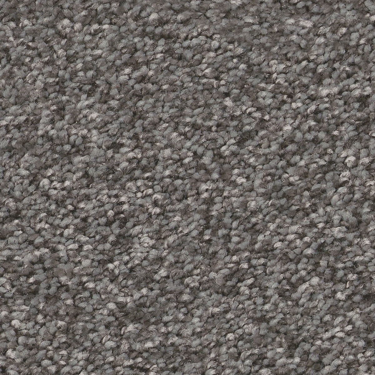 STAINMASTER 7L86900501 Effortless Appeal III Ashes Gray 68.3-oz sq yard Polyester Textured Indoor Carpet