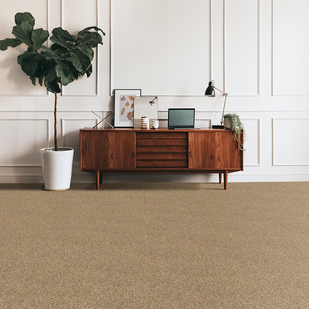 Mohawk SS026-L001-0808 Carpet-Samples - View #2