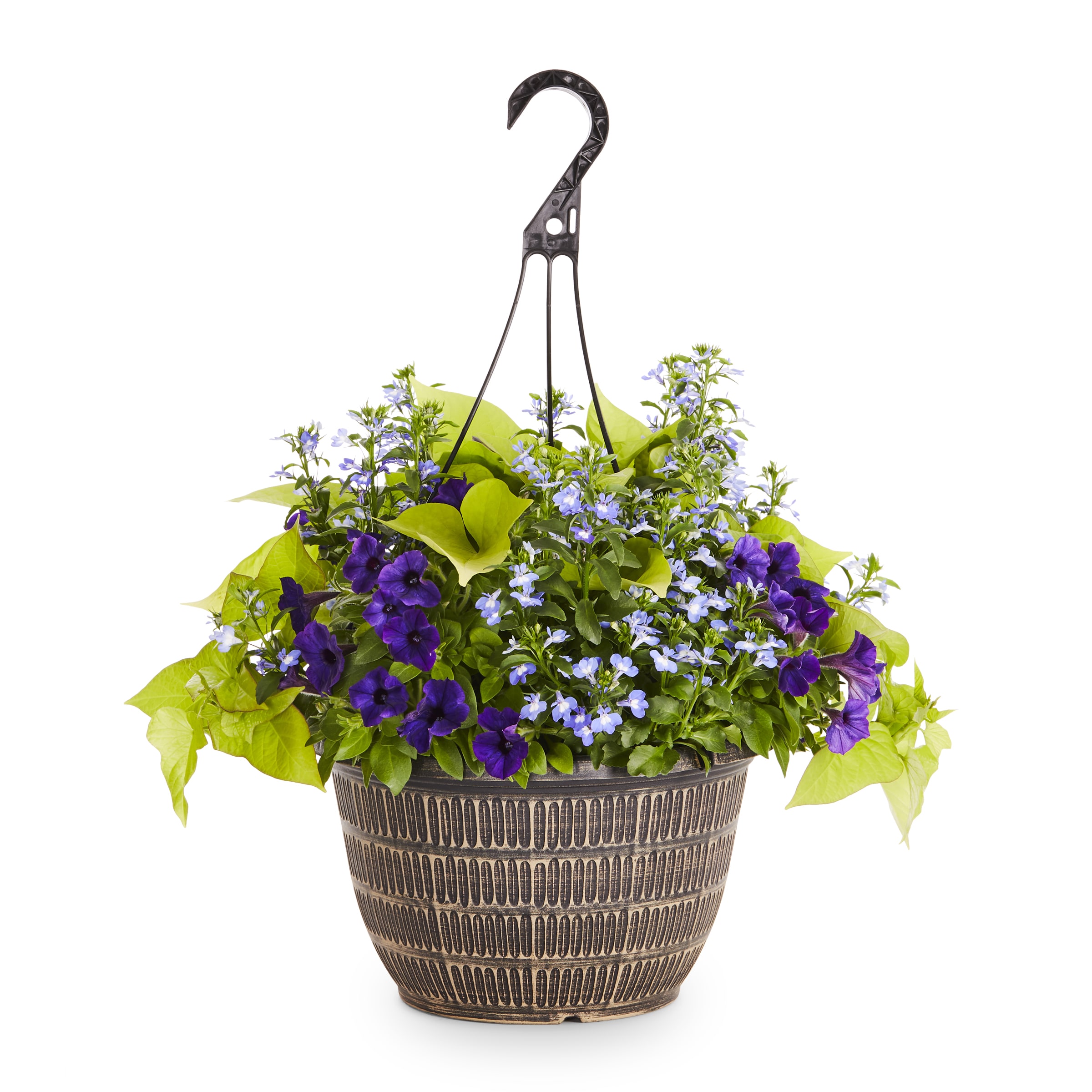 Lowe S Multicolor Mixed Annuals Combinations In 2 Gallon Hanging Basket   07804054 