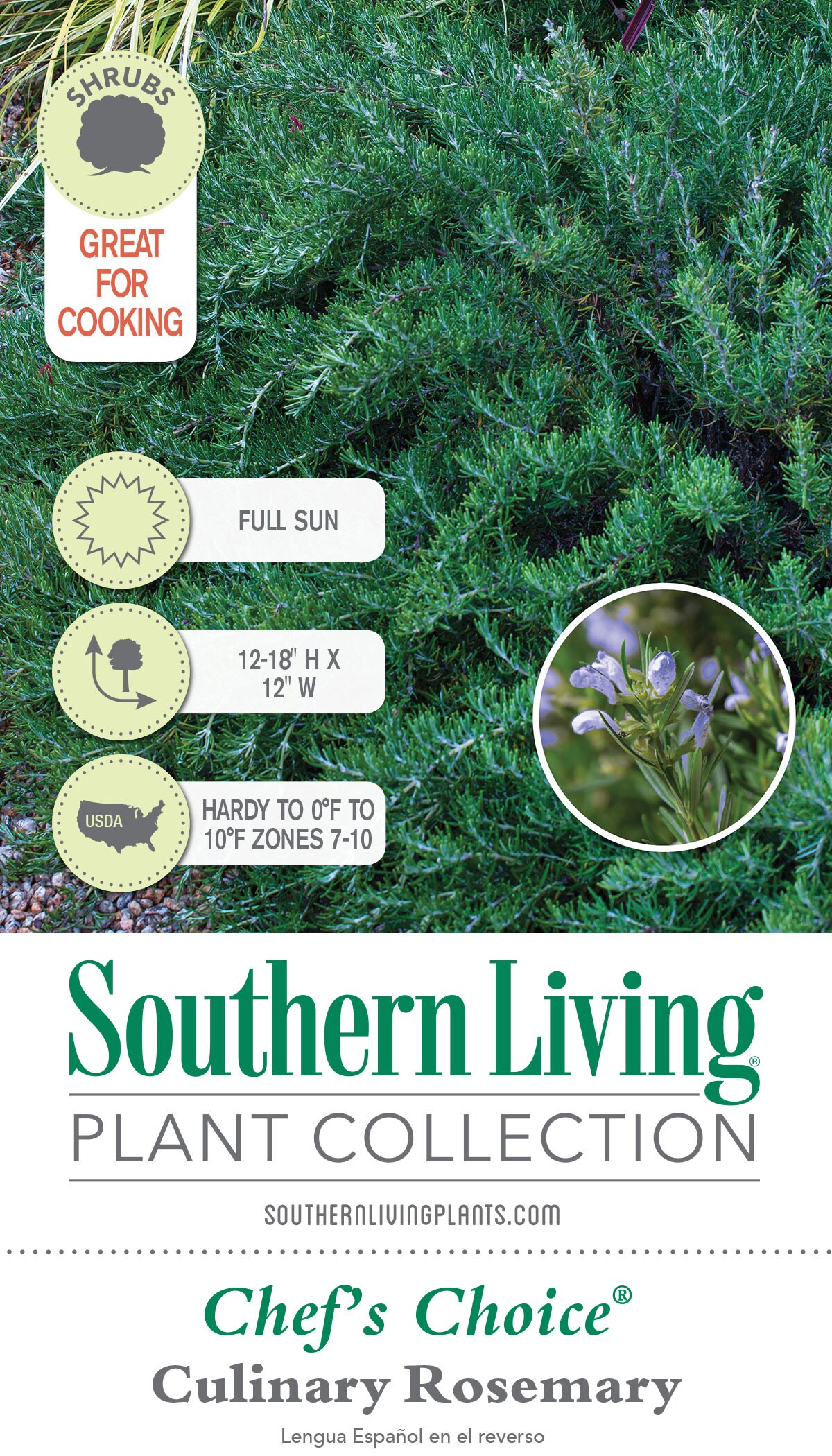 Southern Living Plant Collection 7454Q-1 shrubs - View #6