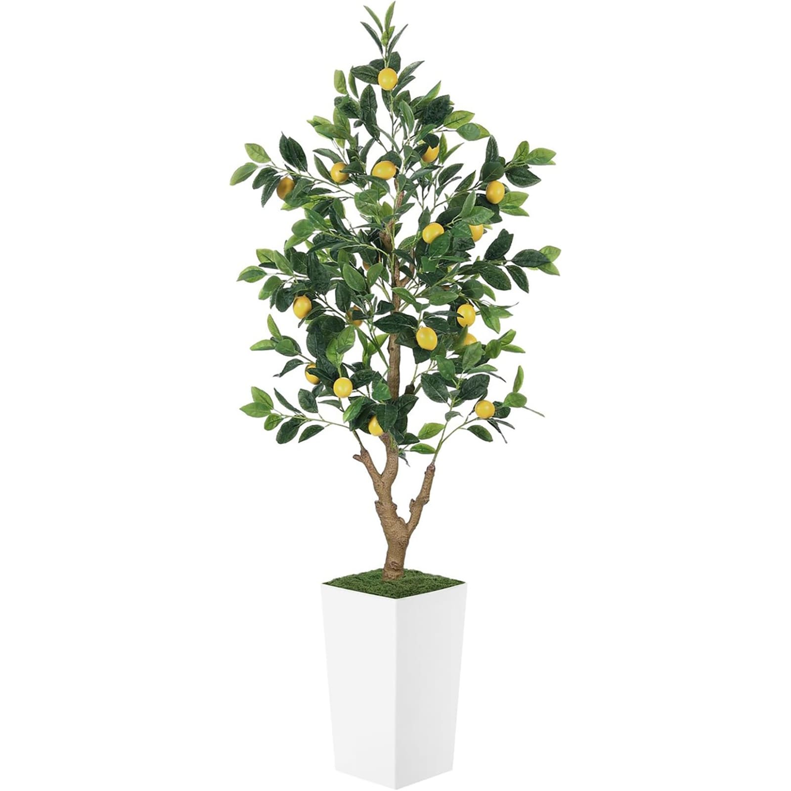 Misopily - 5FT Artificial Lemon Tree 60 Inch Fake Lemon Tree with Tall Plastic Planter Realistic ...
