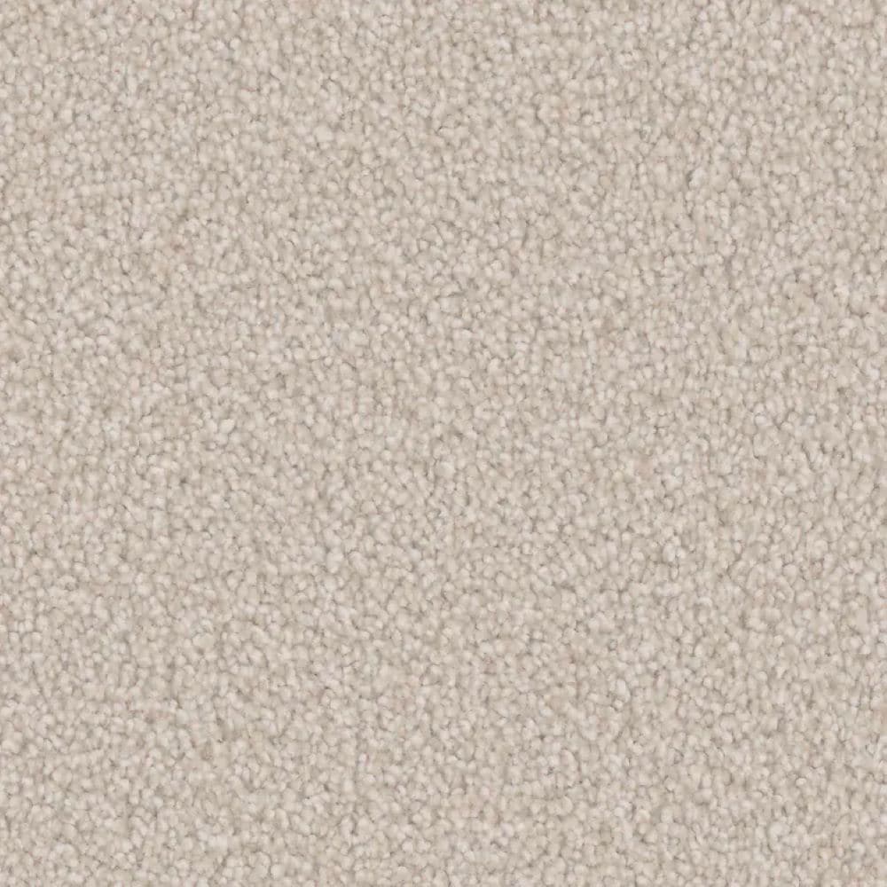 STAINMASTER S9860-10002-1200-MO Bliss III Wool Brown 60-oz sq yard Polyester Textured Indoor Carpet