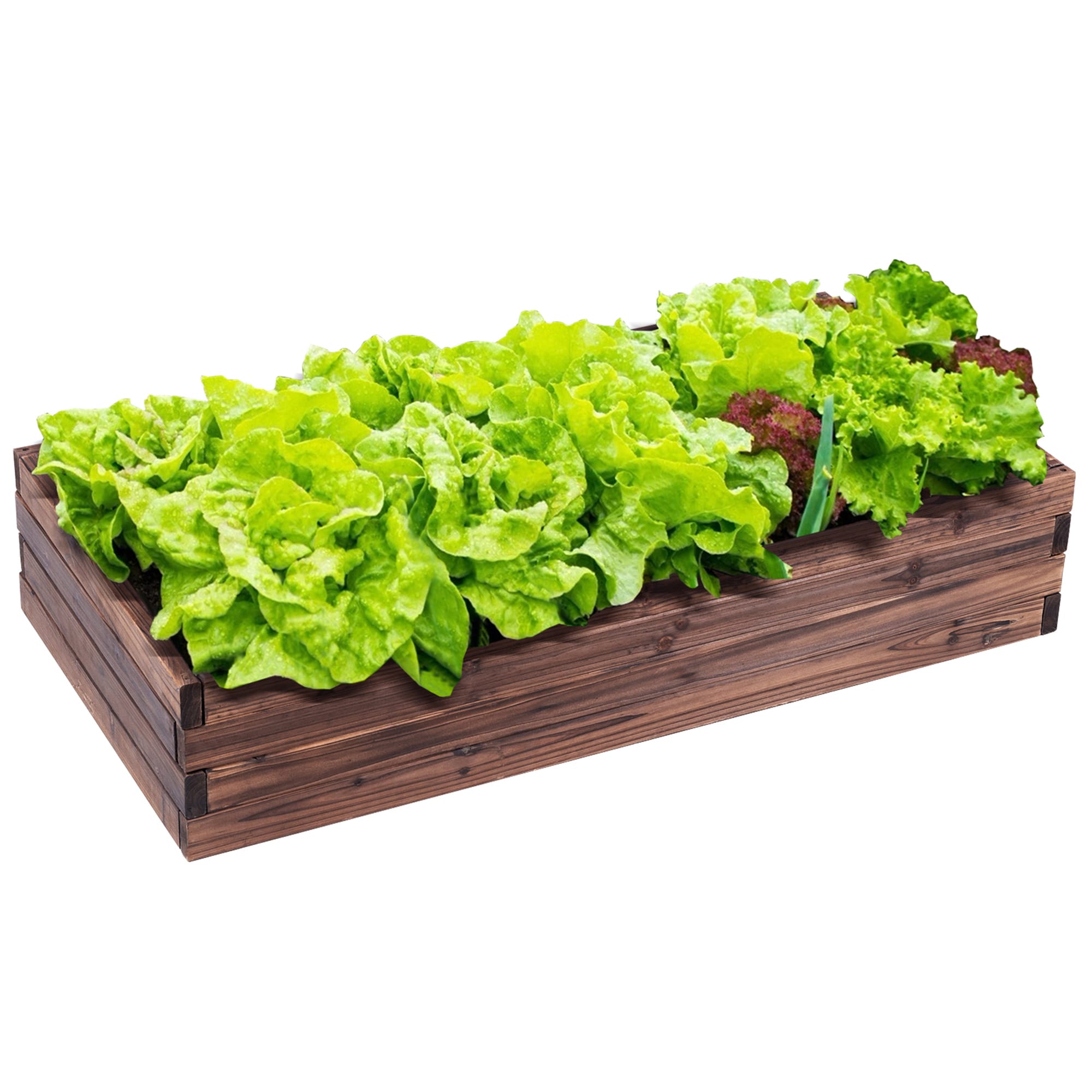 Costway LWS00533 24-in W x 47-in L x 9-in H Brown Wood Raised Garden Bed