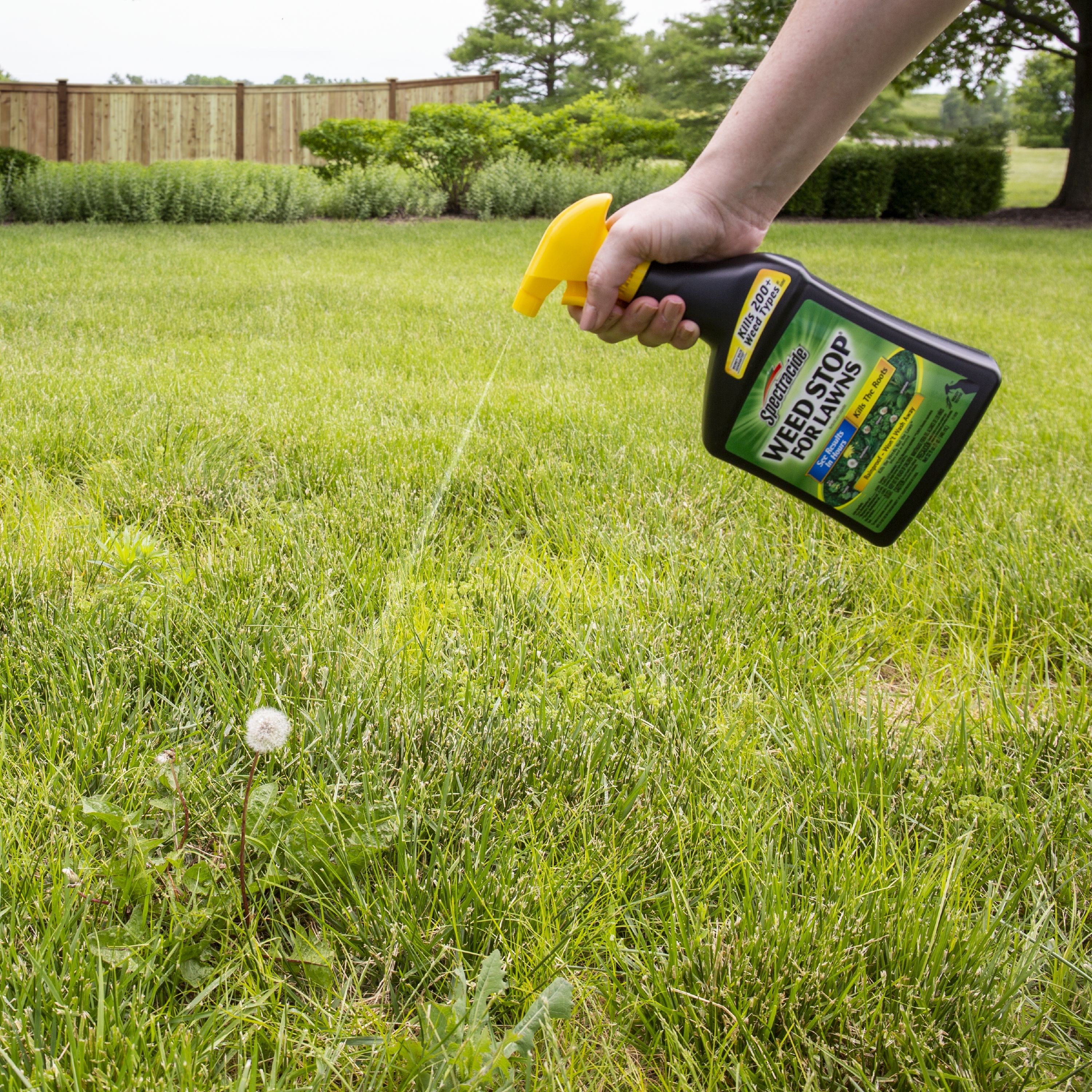 Spectracide HG-96437 Weed-Killers - View #3