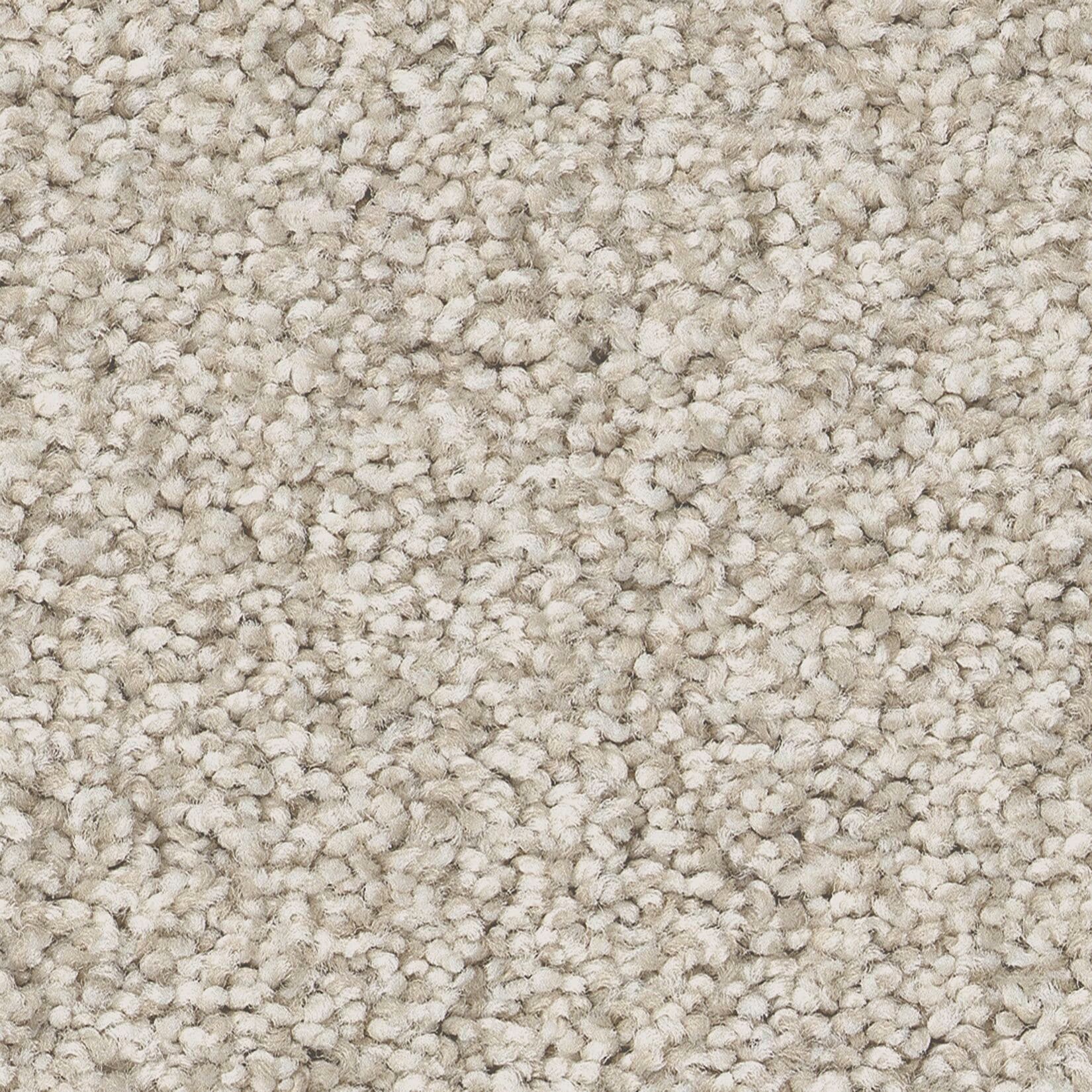 STAINMASTER PetProtect 7L88000124 Ready 2 Play III Lollie Off-white 73.1-oz sq yard Nylon Textured Indoor Carpet